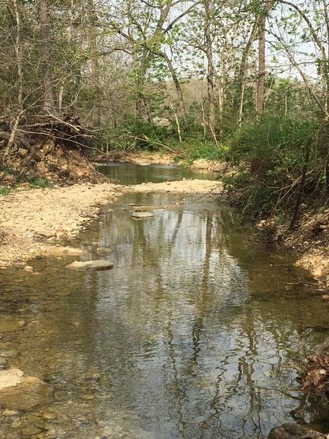 Photo 47 - Farm for sale – 3735  Meyers Hollow Road  Marshfield, MO