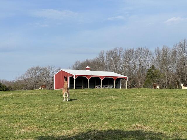 Photo 37 - Farm for sale – 3735  Meyers Hollow Road  Marshfield, MO