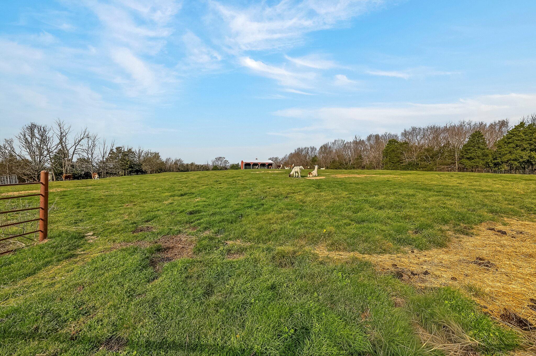 Photo 41 - Farm for sale – 3735  Meyers Hollow Road  Marshfield, MO