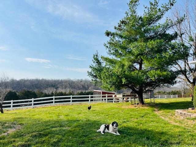 Photo 40 - Farm for sale – 3735  Meyers Hollow Road  Marshfield, MO