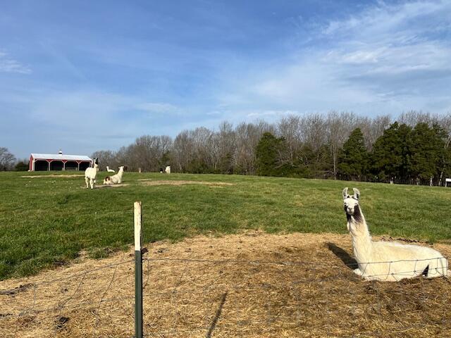Photo 36 - Residential for sale – 3735  Meyers Hollow Road  Marshfield, MO