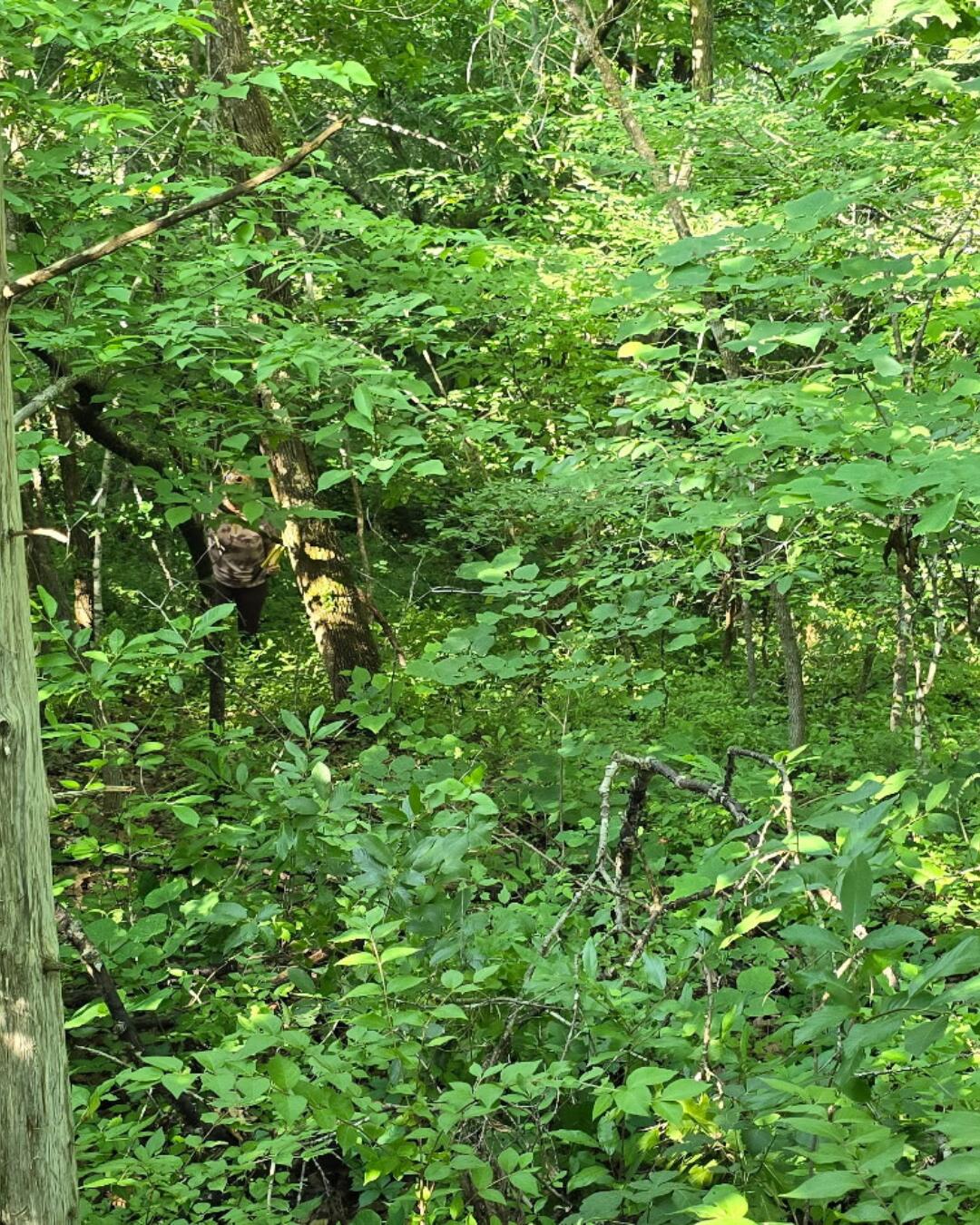 Photo 5 - Land for sale – 000  Linwood Road  Merriam Woods, MO