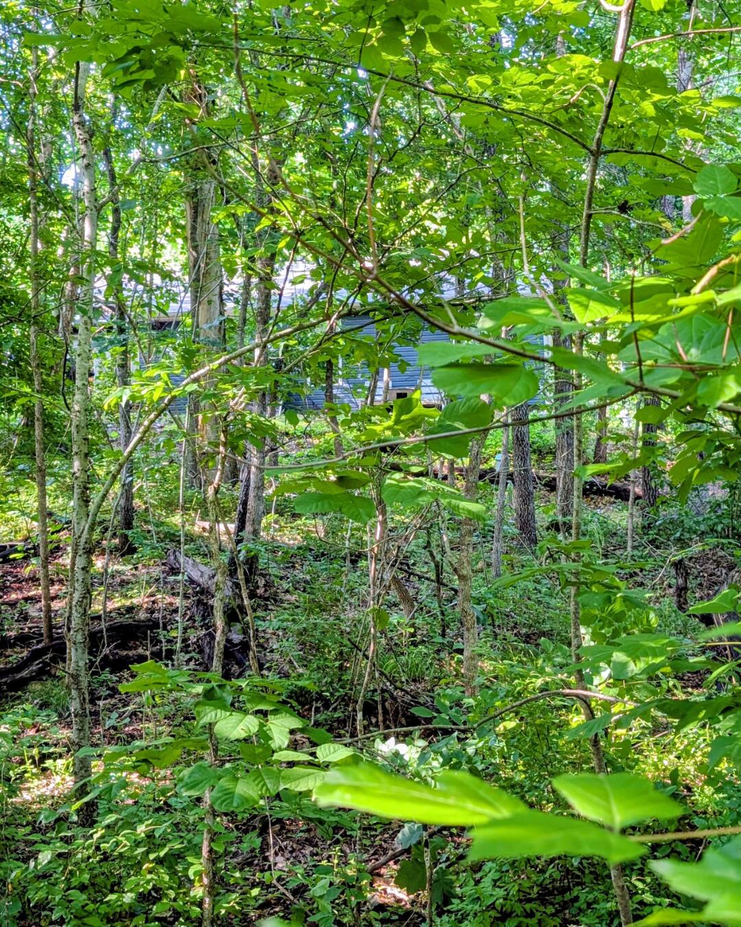 Photo 3 - Land for sale – 000  Linwood Road  Merriam Woods, MO