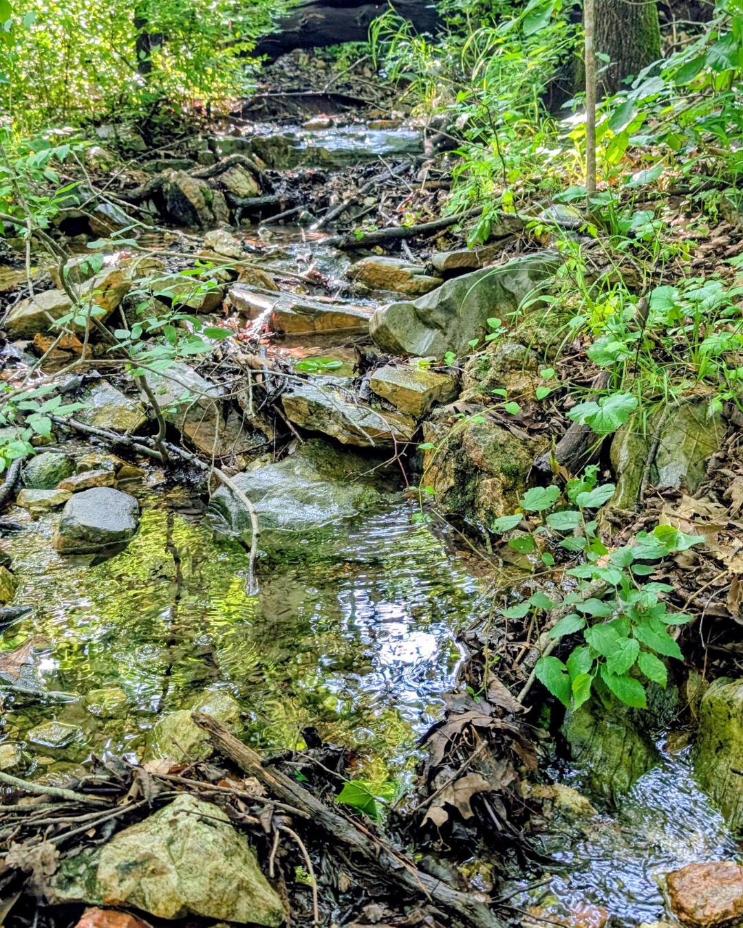 Photo 2 - Land for sale – 000  Linwood Road  Merriam Woods, MO