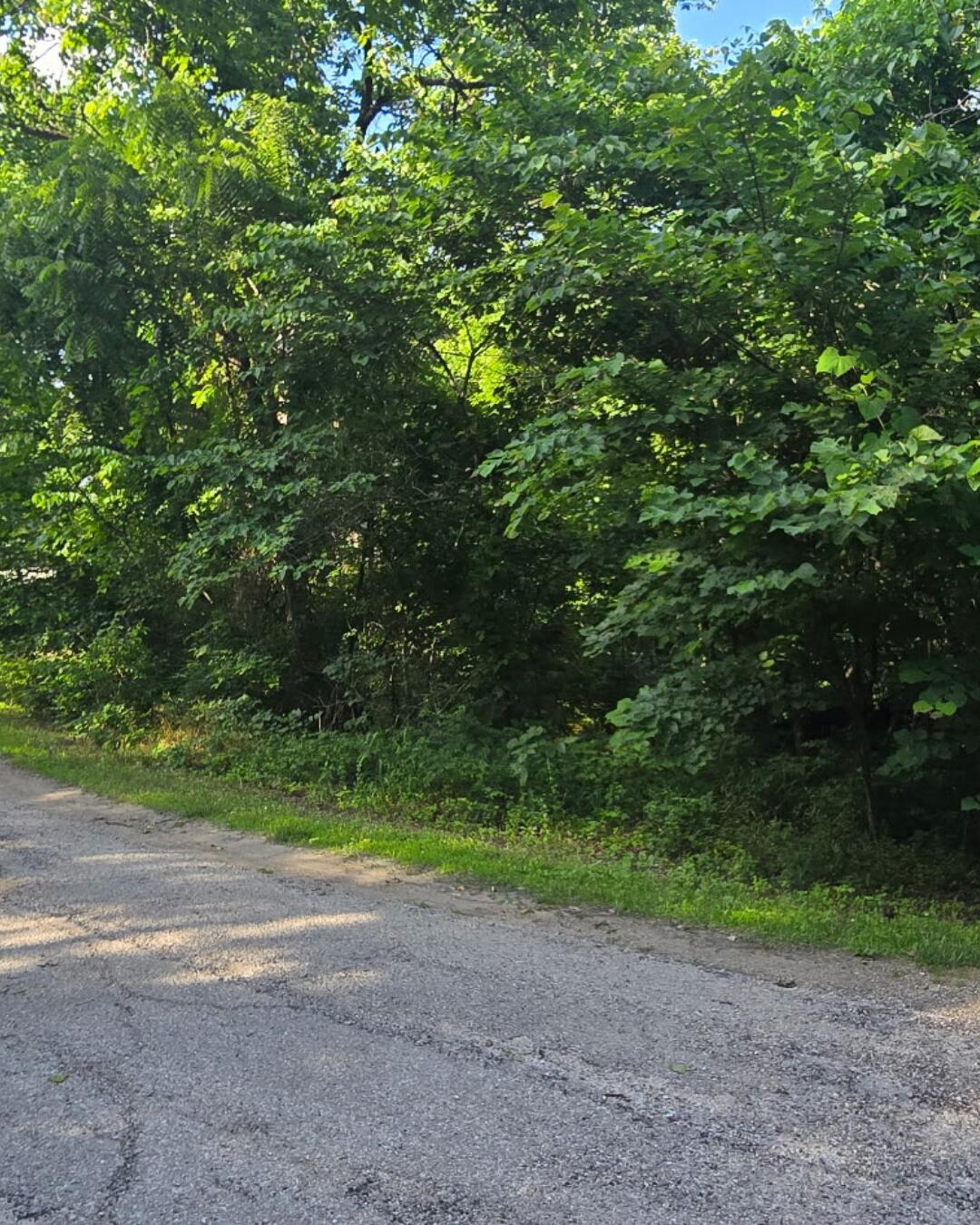 Land for sale – 000 Linwood Road Merriam Woods, MO