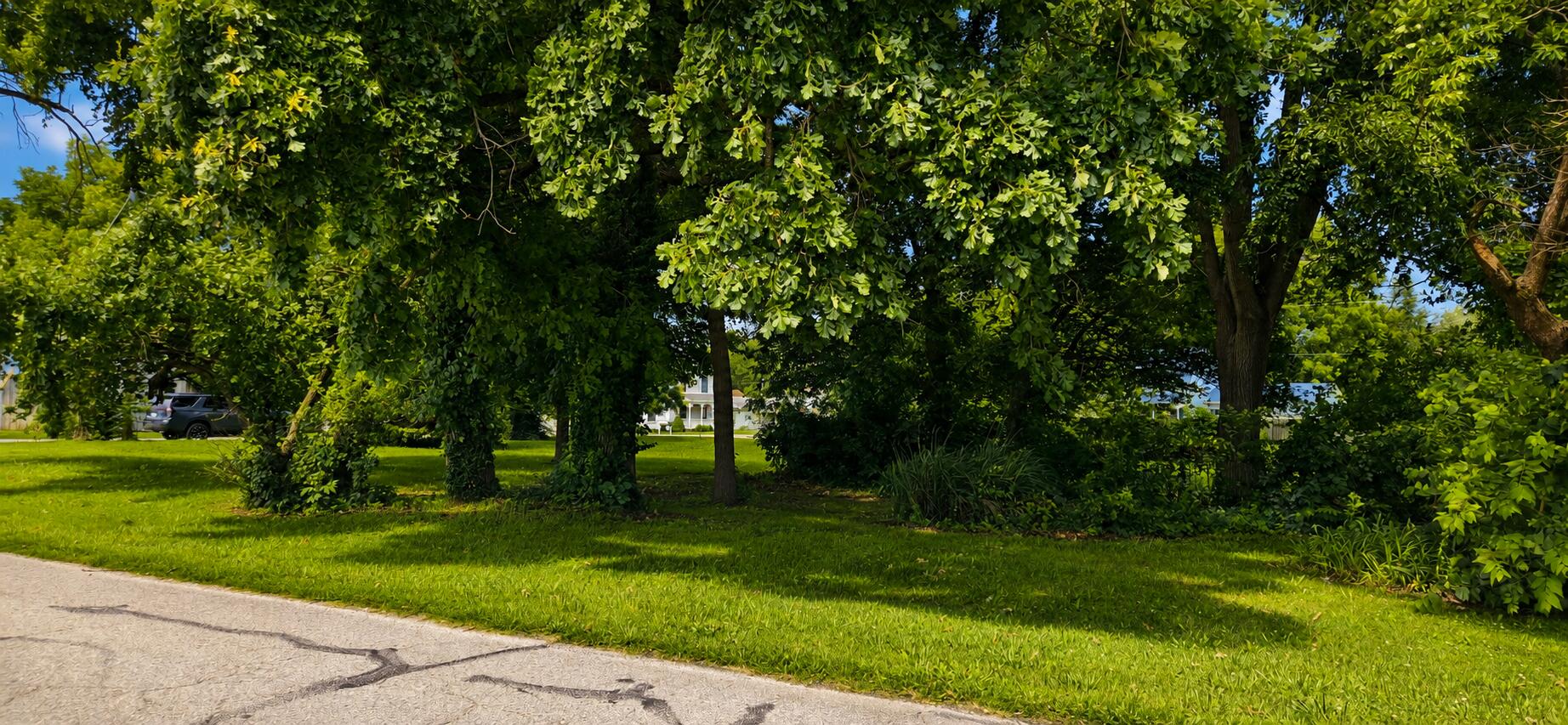 Photo 4 - Land for sale – Lots12-14 NE Main Street  Billings, MO