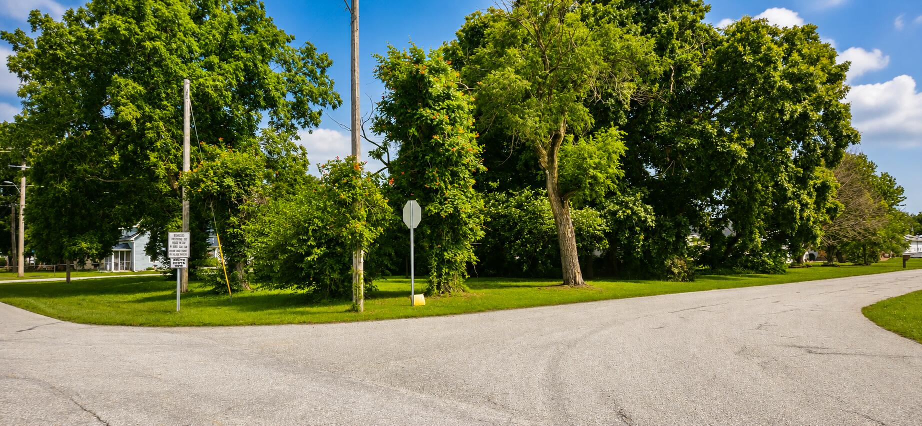 Photo 3 - Land for sale – Lots12-14 NE Main Street  Billings, MO