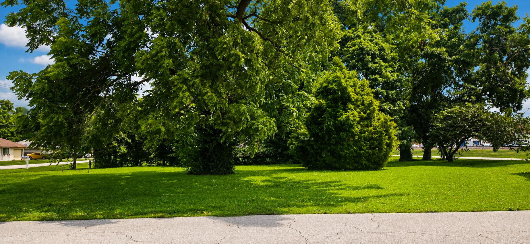 Photo 5 - Land for sale – Lots12-14 NE Main Street  Billings, MO