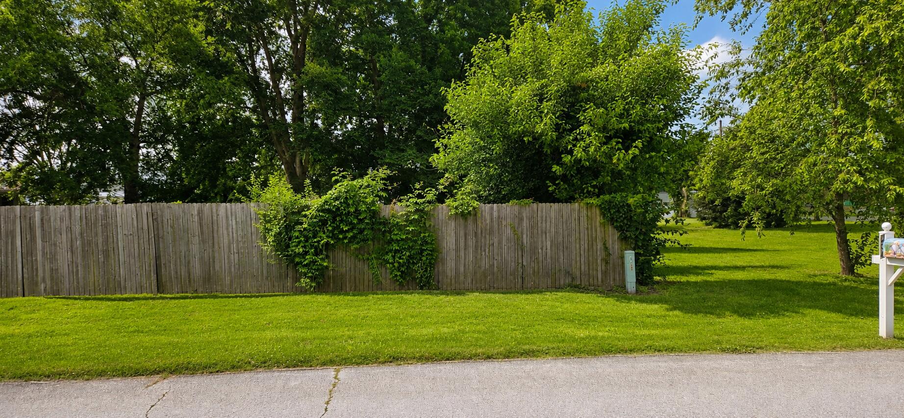 Photo 2 - Land for sale – Lots12-14 NE Main Street  Billings, MO