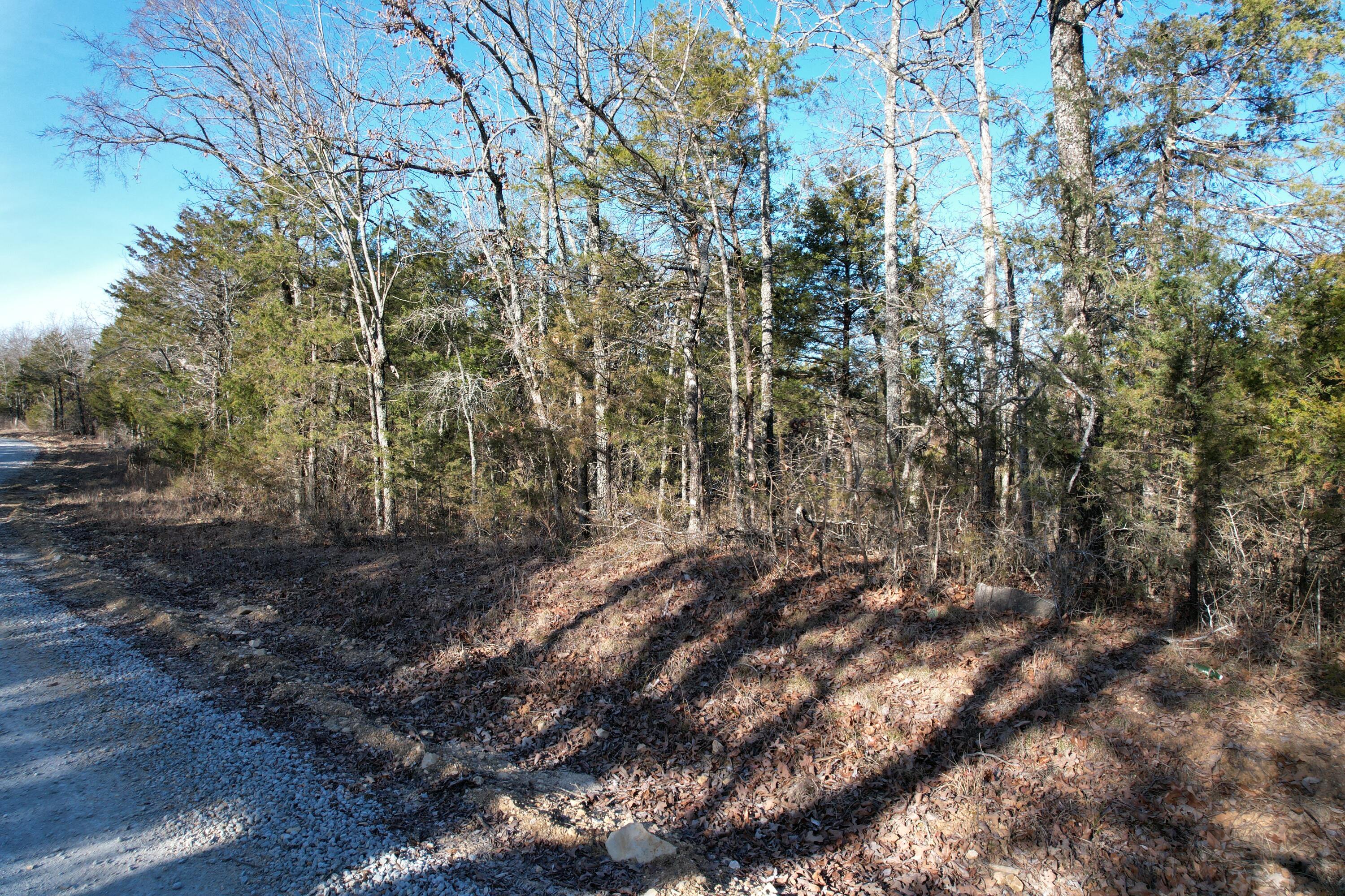 Land for sale – 000 County Road 904 Theodosia, MO