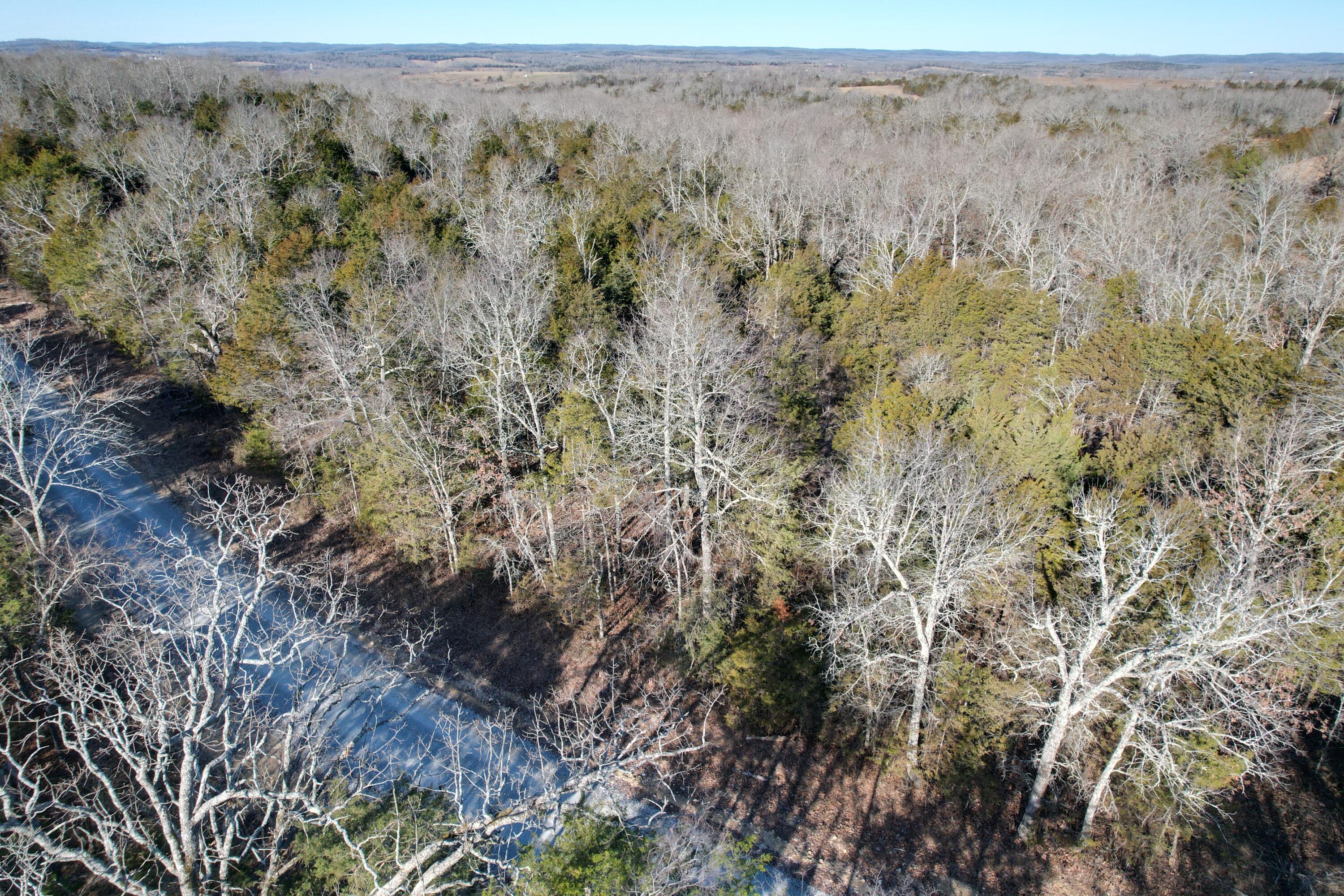 Photo 3 - Land for sale – 000  County Road 904   Theodosia, MO