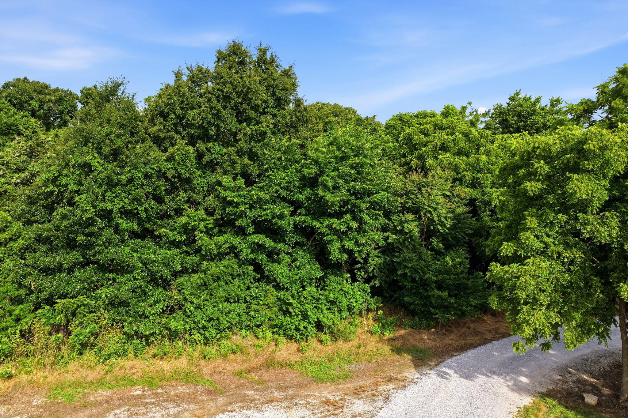 Photo 27 - Land for sale – 000 S 96th Road  Bolivar, MO