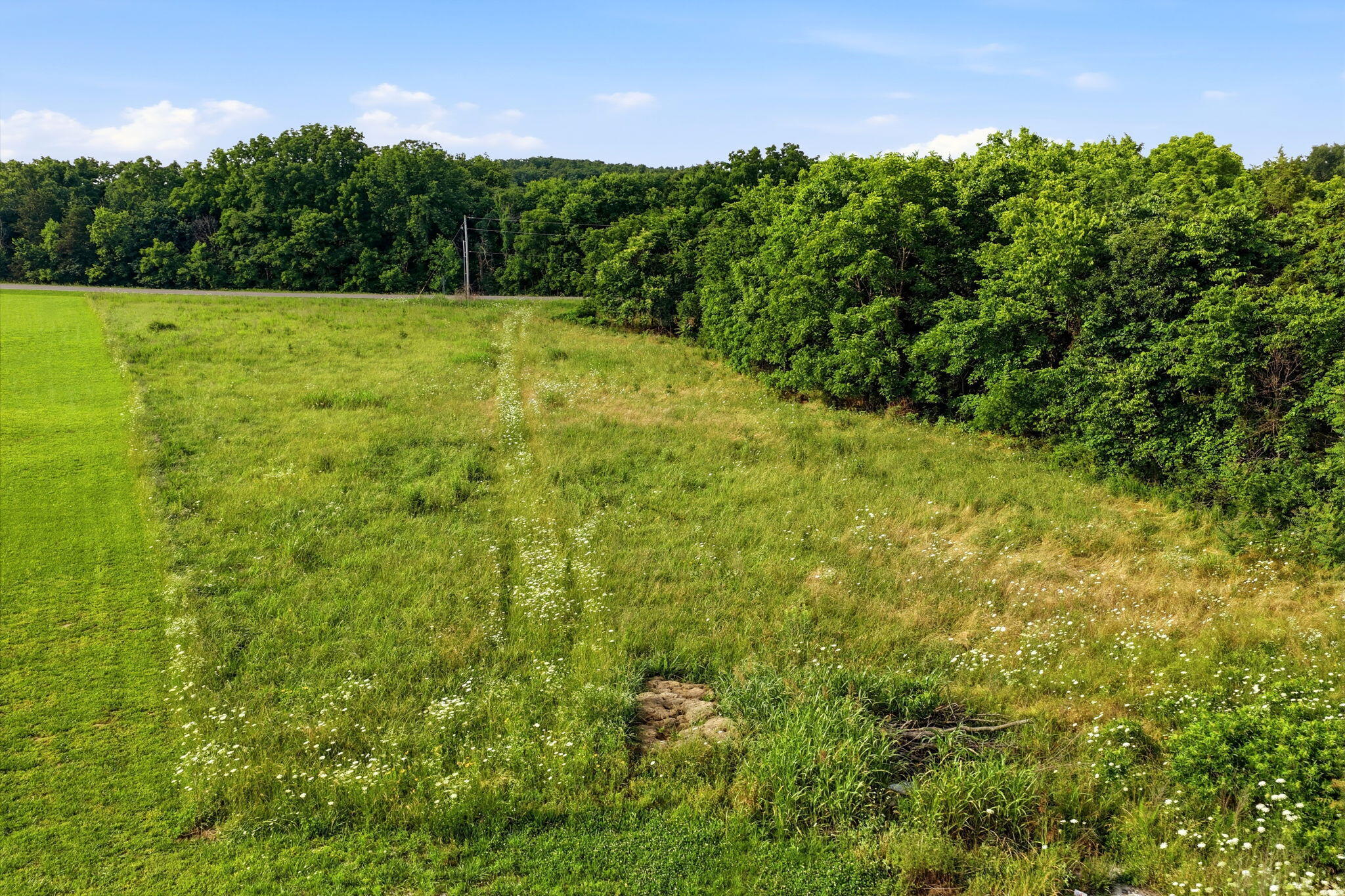 Photo 25 - Land for sale – 000 S 96th Road  Bolivar, MO
