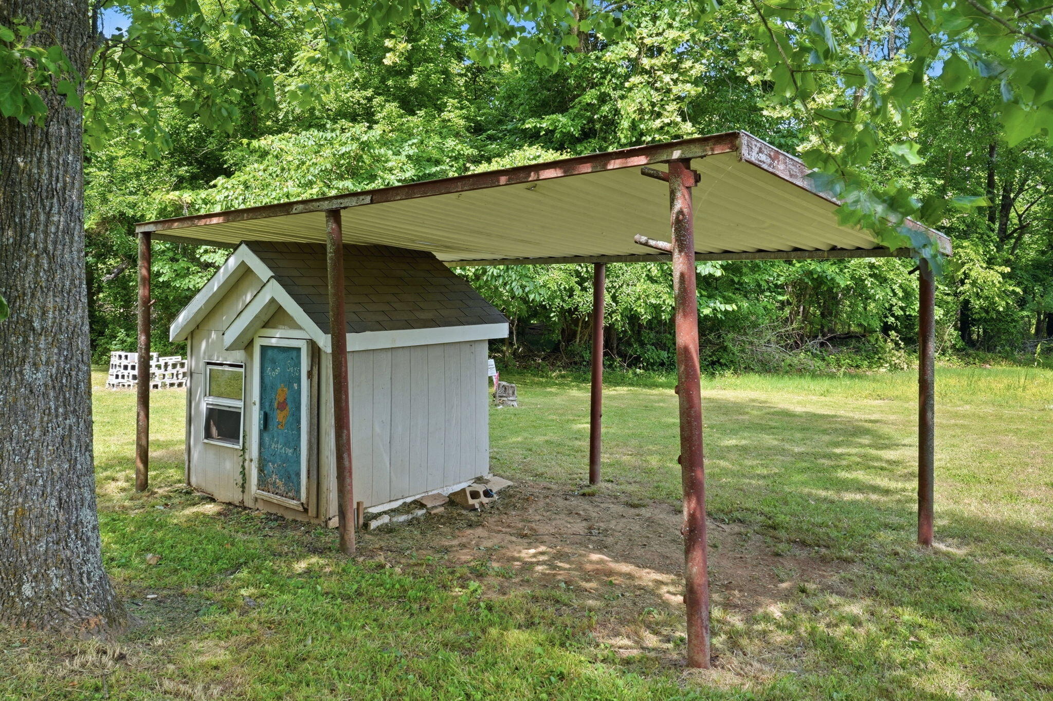 Photo 48 - Residential for sale – 441  Cane Cove Road  Cape Fair, MO