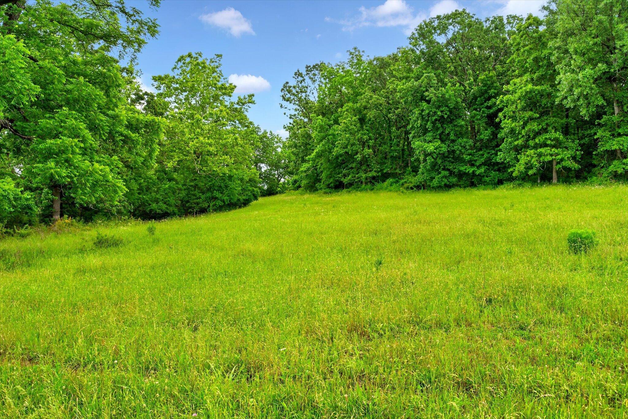Photo 8 - Land for sale – 000 E Mount Gilead Road  Bolivar, MO