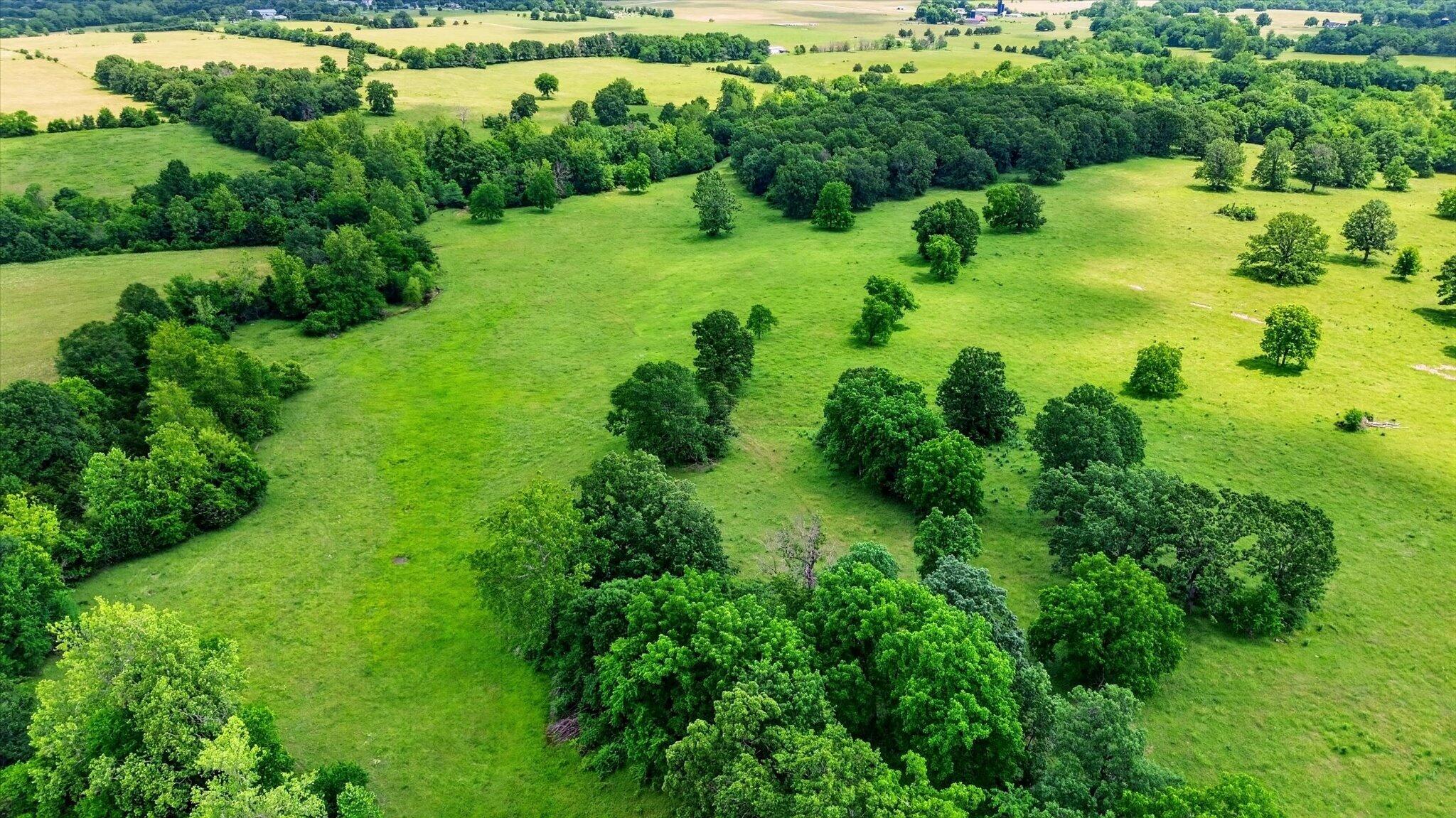 Photo 11 - Land for sale – 000 E Mount Gilead Road  Bolivar, MO