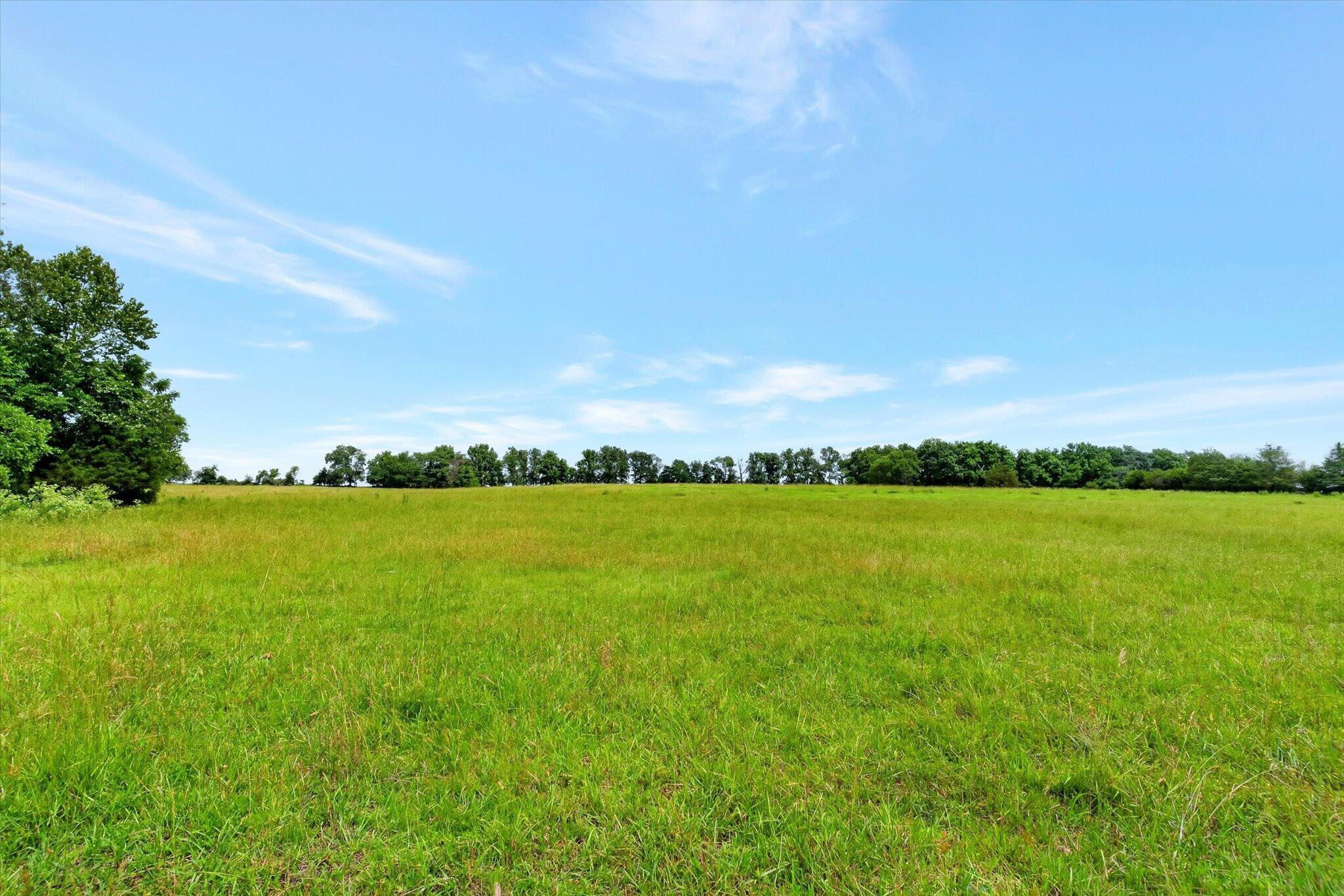 Photo 4 - Land for sale – 000 E Mount Gilead Road  Bolivar, MO