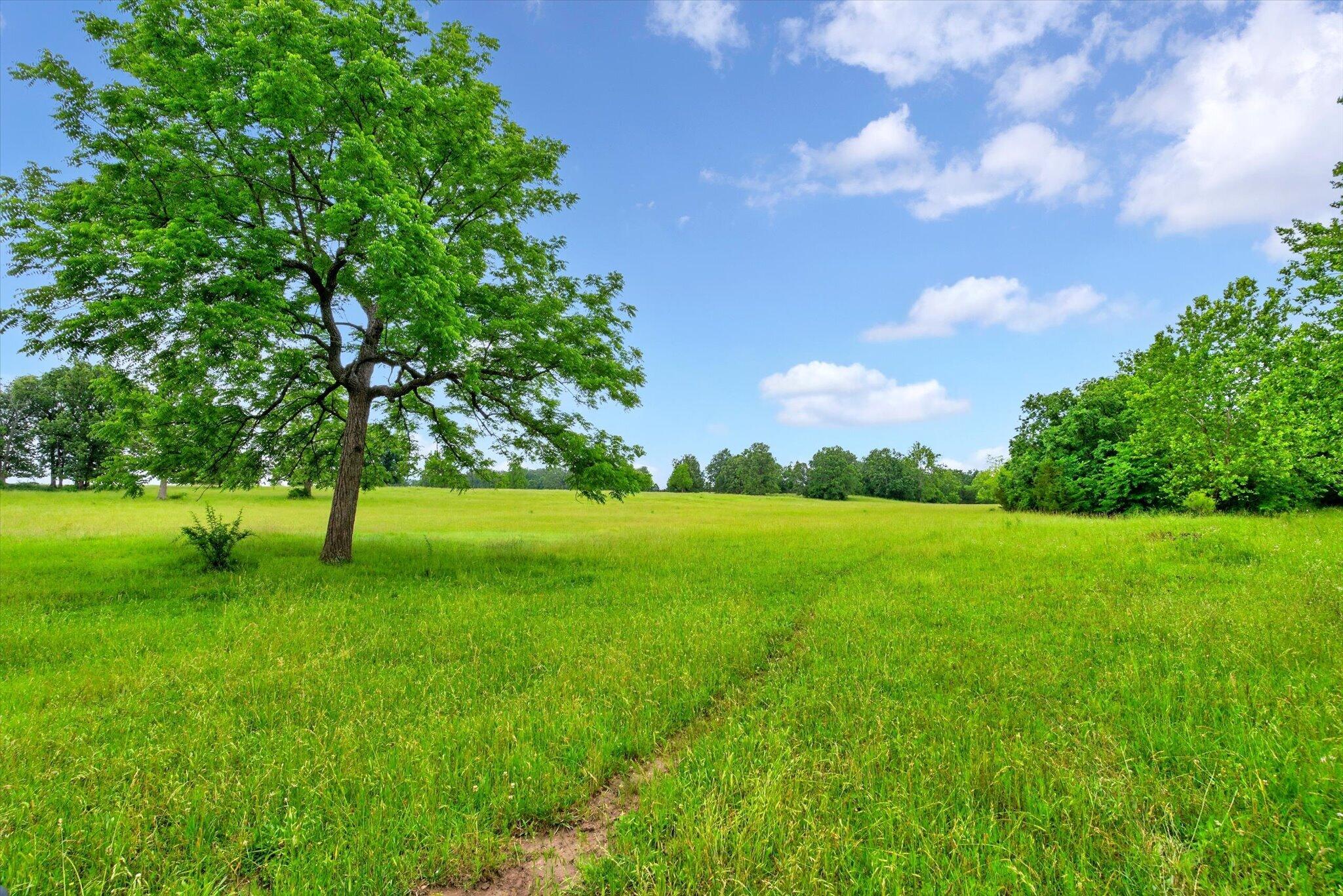 Photo 9 - Land for sale – 000 E Mount Gilead Road  Bolivar, MO