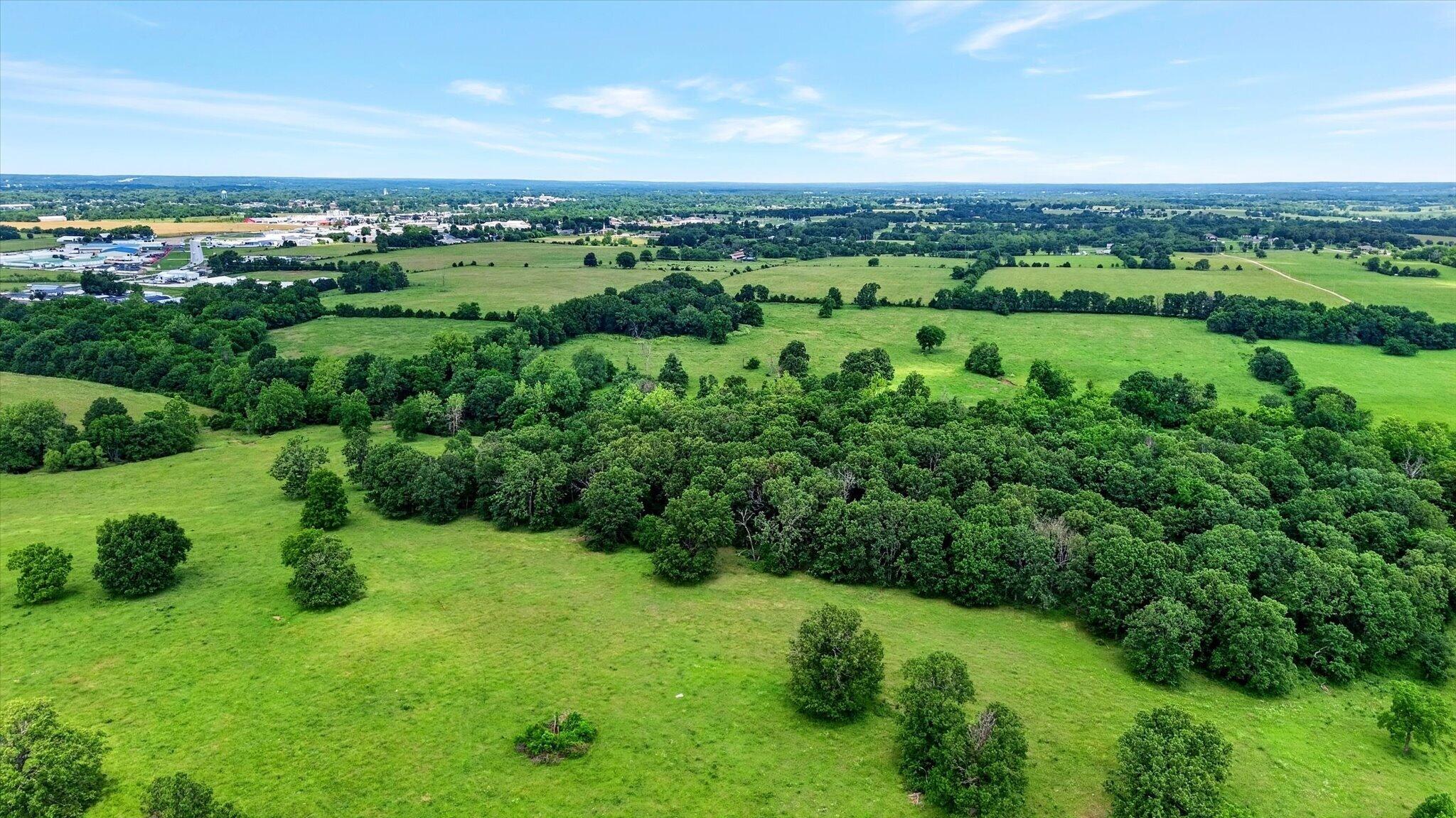 Photo 14 - Land for sale – 000 E Mount Gilead Road  Bolivar, MO