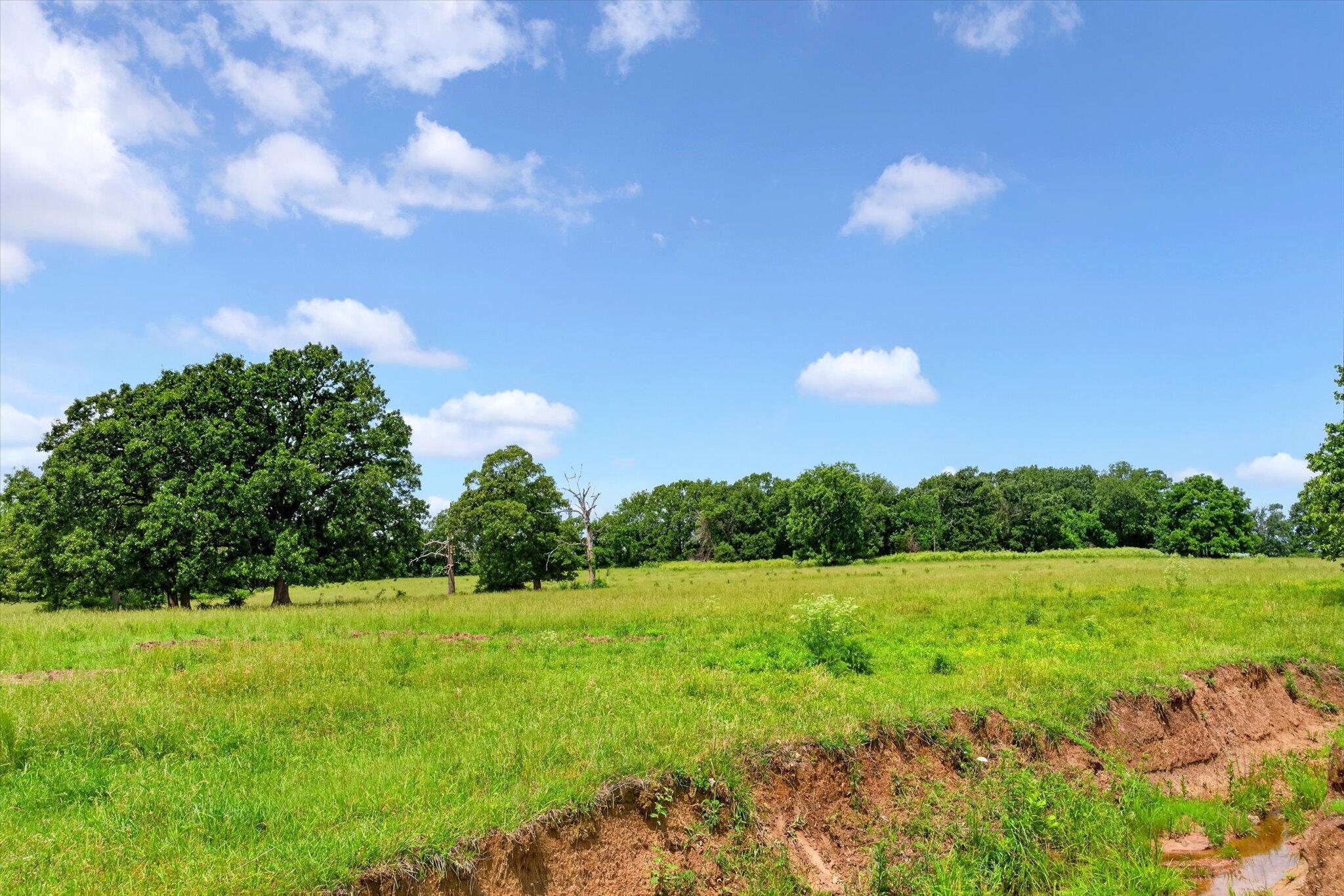 Photo 17 - Land for sale – 000 E Mount Gilead Road  Bolivar, MO