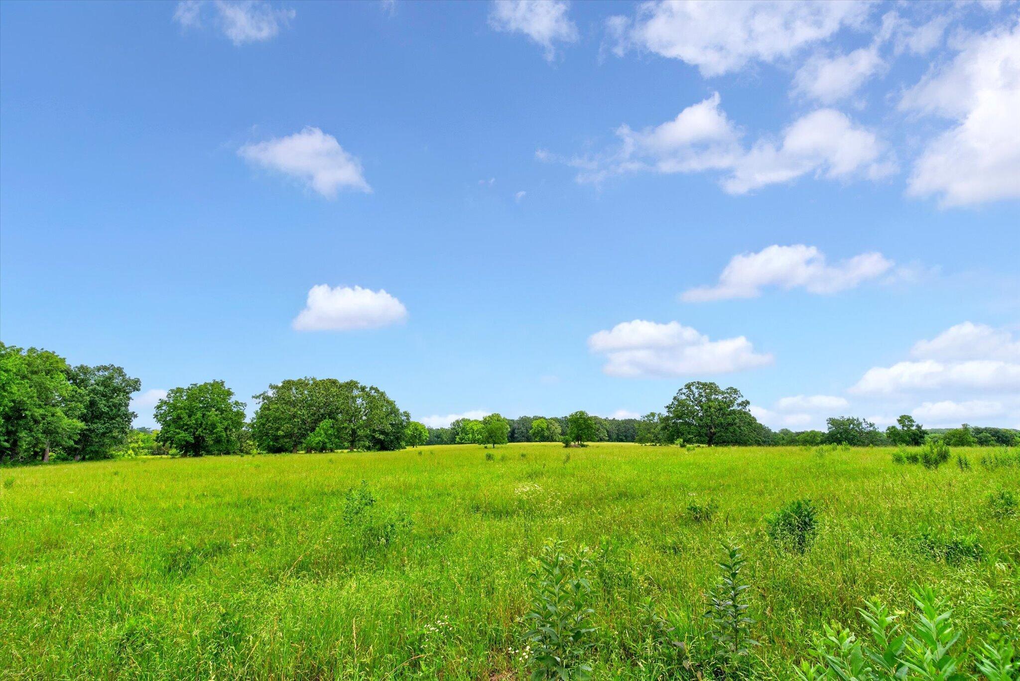 Photo 21 - Land for sale – 000 E Mount Gilead Road  Bolivar, MO