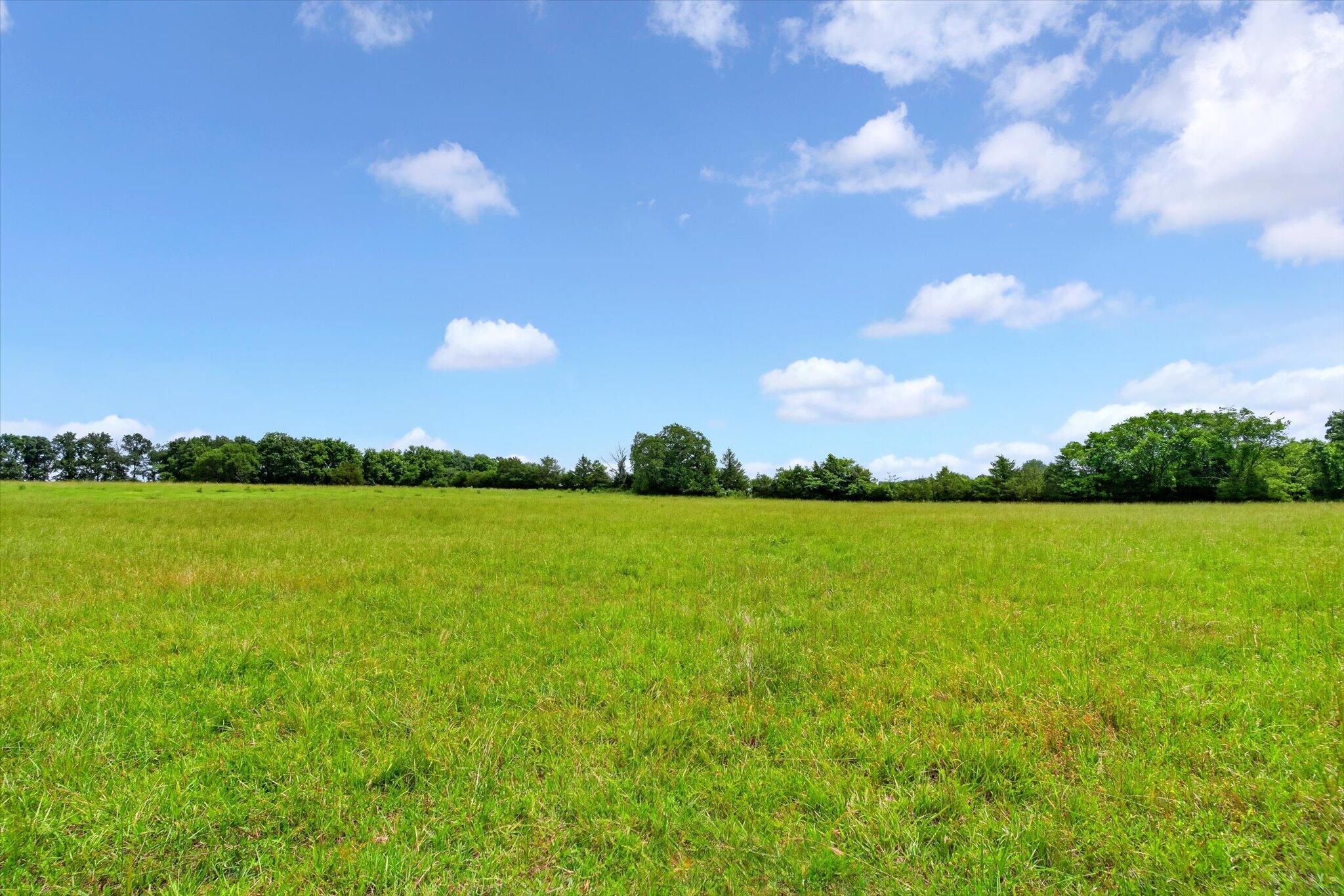 Photo 25 - Land for sale – 000 E Mount Gilead Road  Bolivar, MO