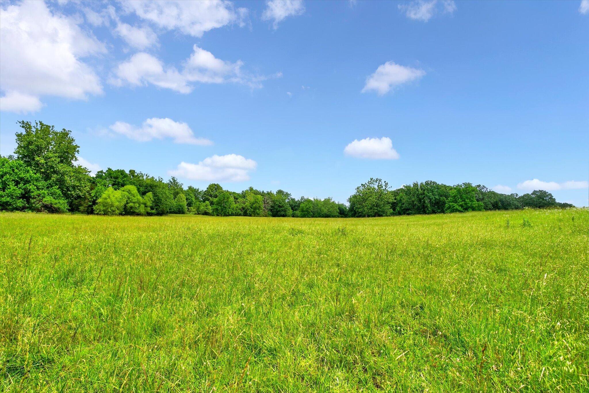 Photo 20 - Land for sale – 000 E Mount Gilead Road  Bolivar, MO