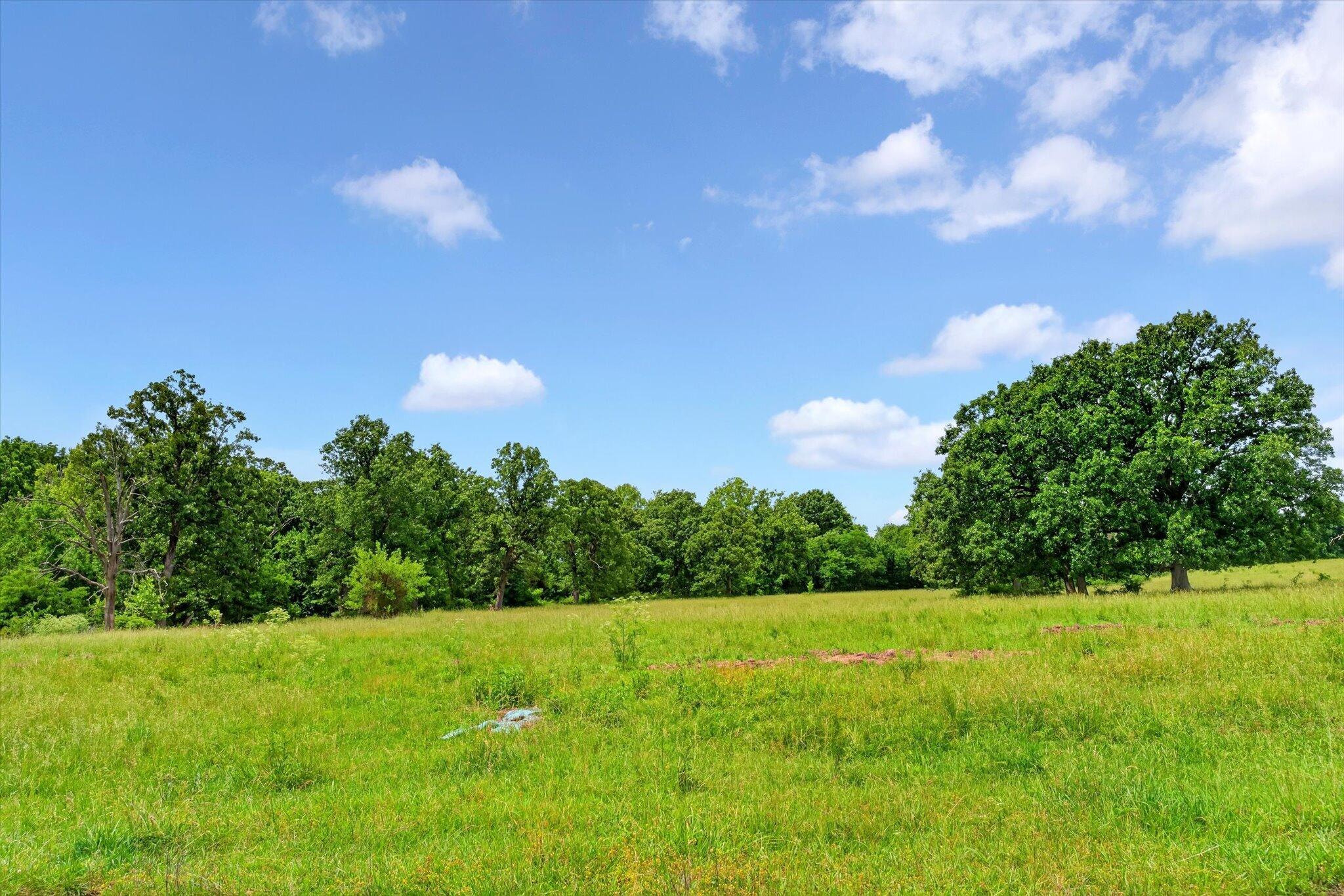 Photo 12 - Land for sale – 000 E Mount Gilead Road  Bolivar, MO