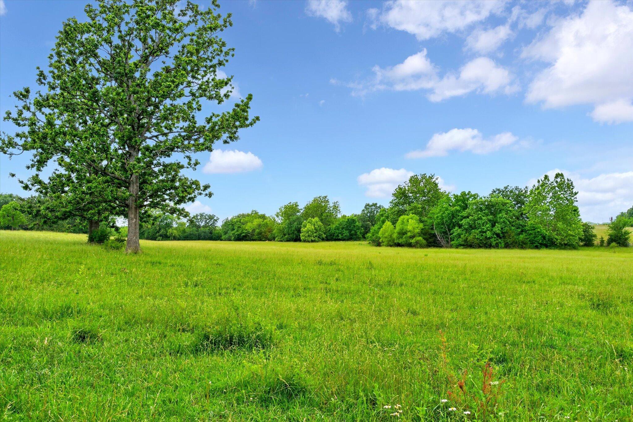 Photo 13 - Land for sale – 000 E Mount Gilead Road  Bolivar, MO
