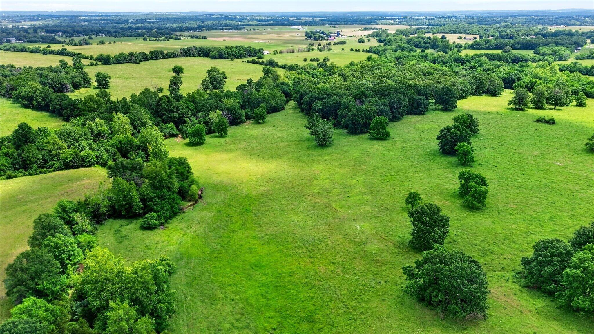 Photo 7 - Land for sale – 000 E Mount Gilead Road  Bolivar, MO