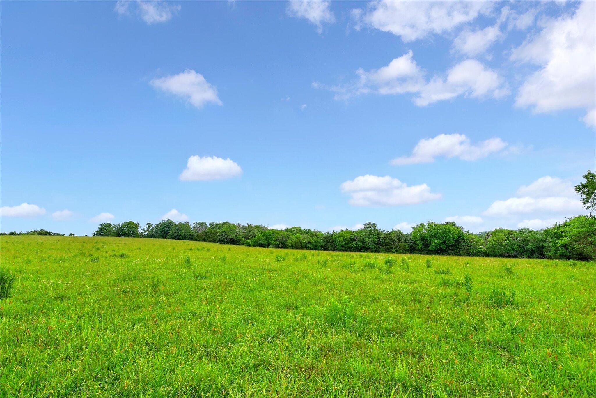 Photo 28 - Land for sale – 000 E Mount Gilead Road  Bolivar, MO