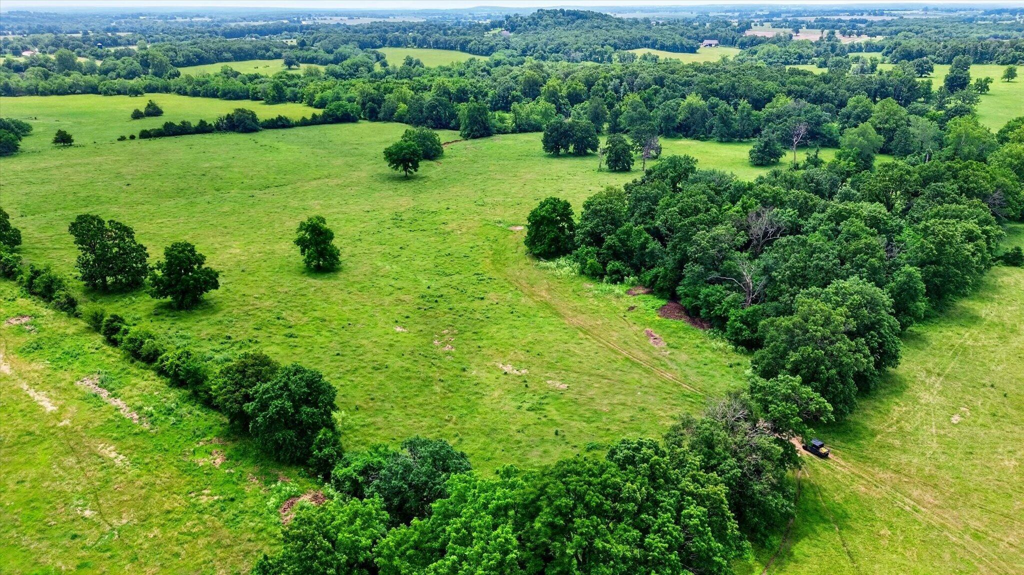 Photo 6 - Land for sale – 000 E Mount Gilead Road  Bolivar, MO
