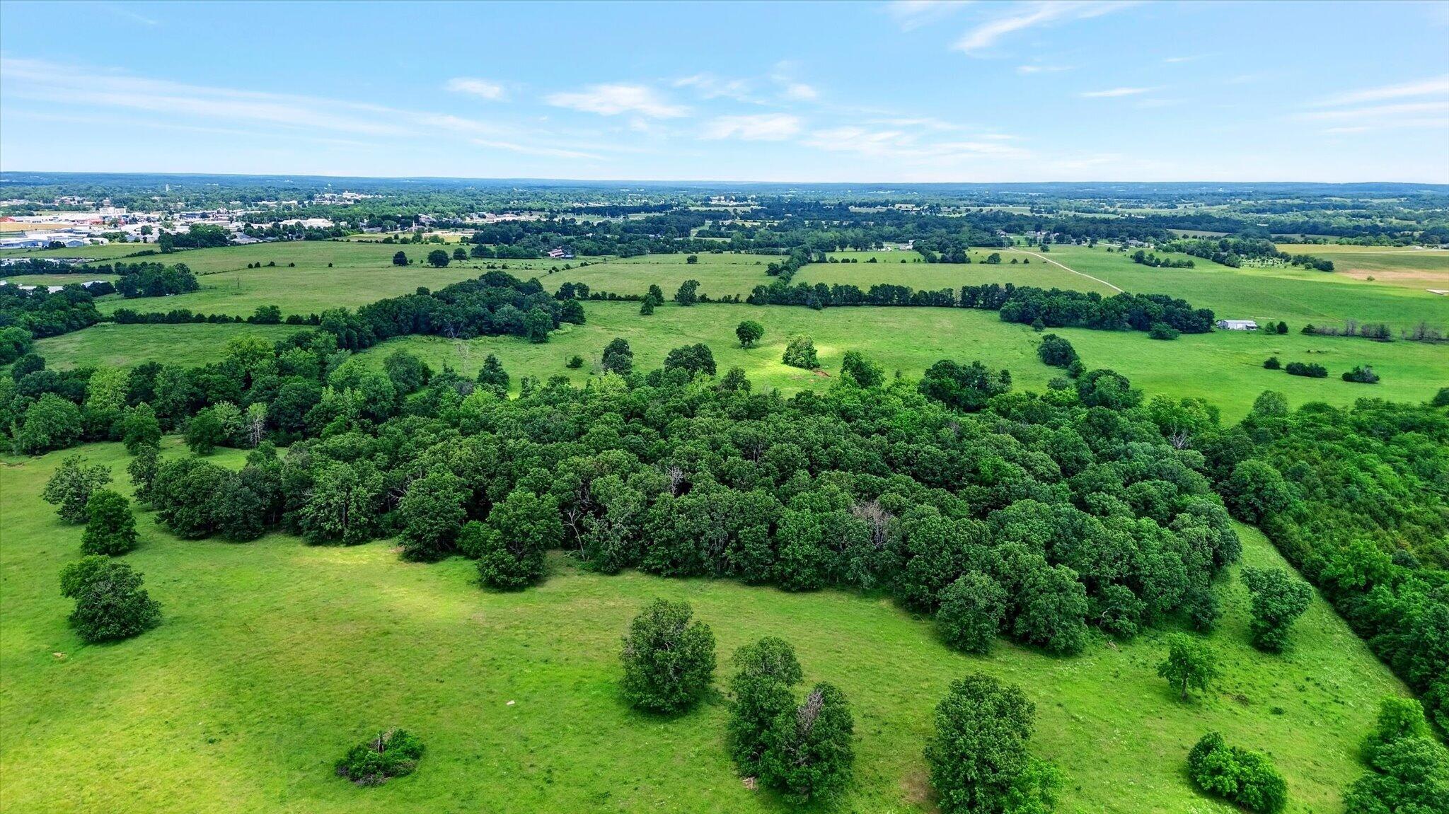 Photo 15 - Land for sale – 000 E Mount Gilead Road  Bolivar, MO