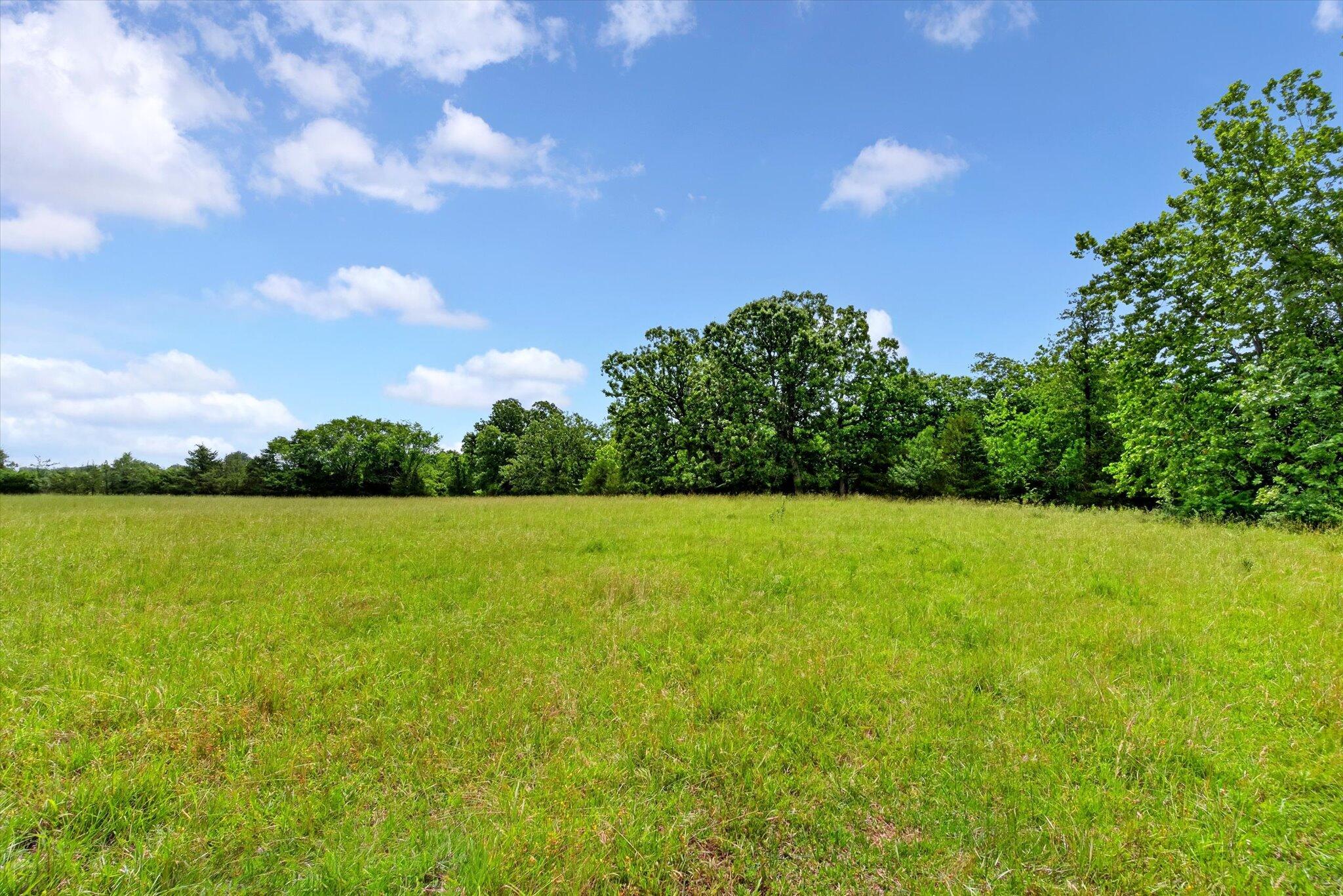 Photo 5 - Land for sale – 000 E Mount Gilead Road  Bolivar, MO