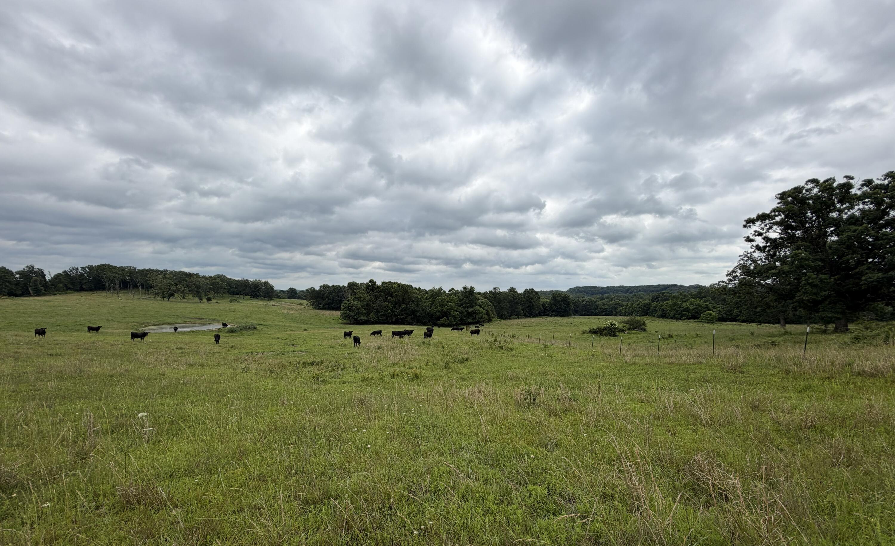 Photo 23 - Farm for sale – 000  N Highway   Squires, MO