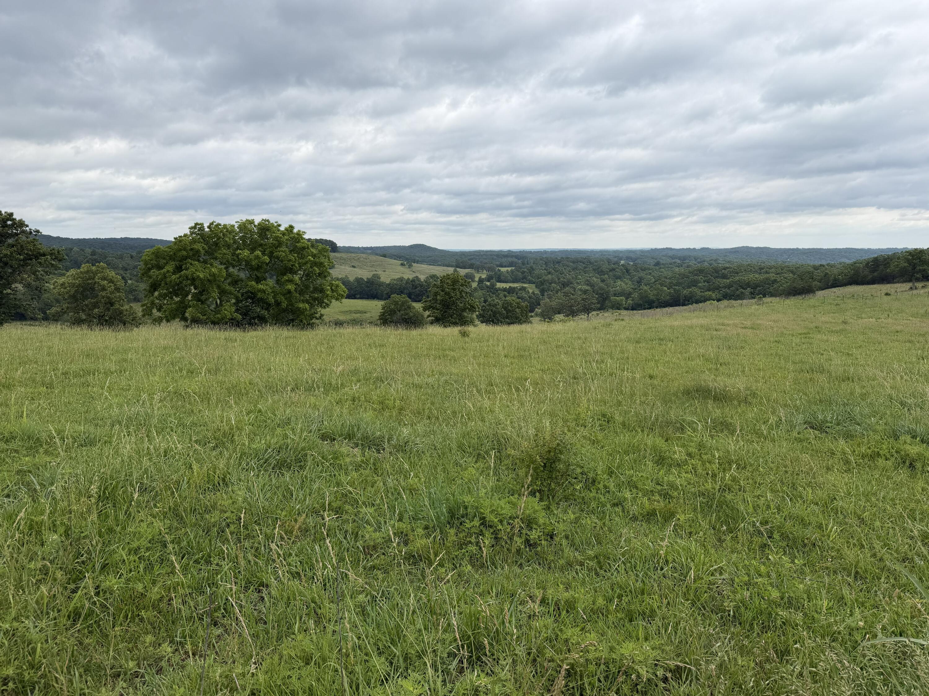 Photo 2 - Farm for sale – 000  N Highway   Squires, MO