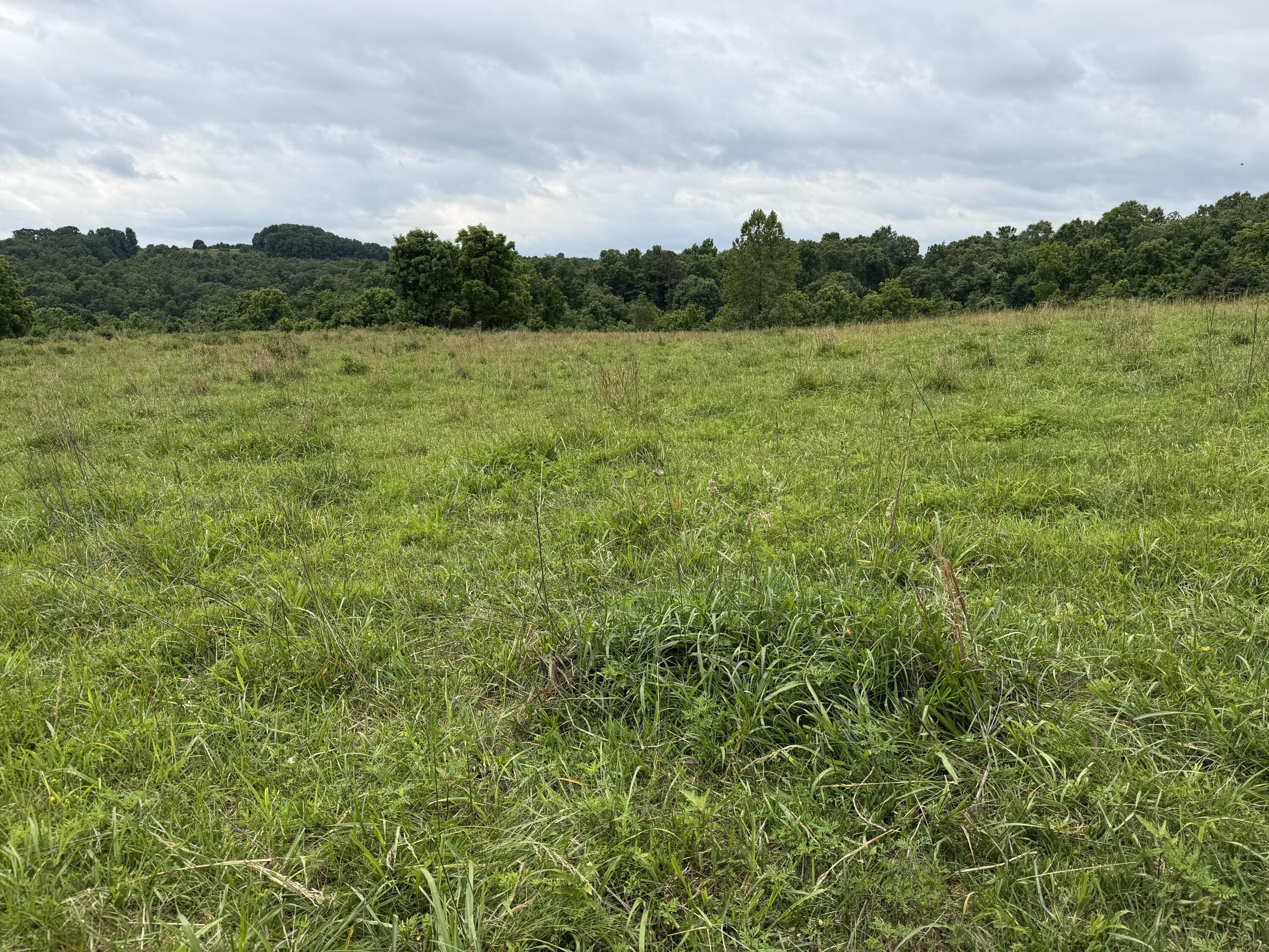 Photo 34 - Farm for sale – 000  N Highway   Squires, MO