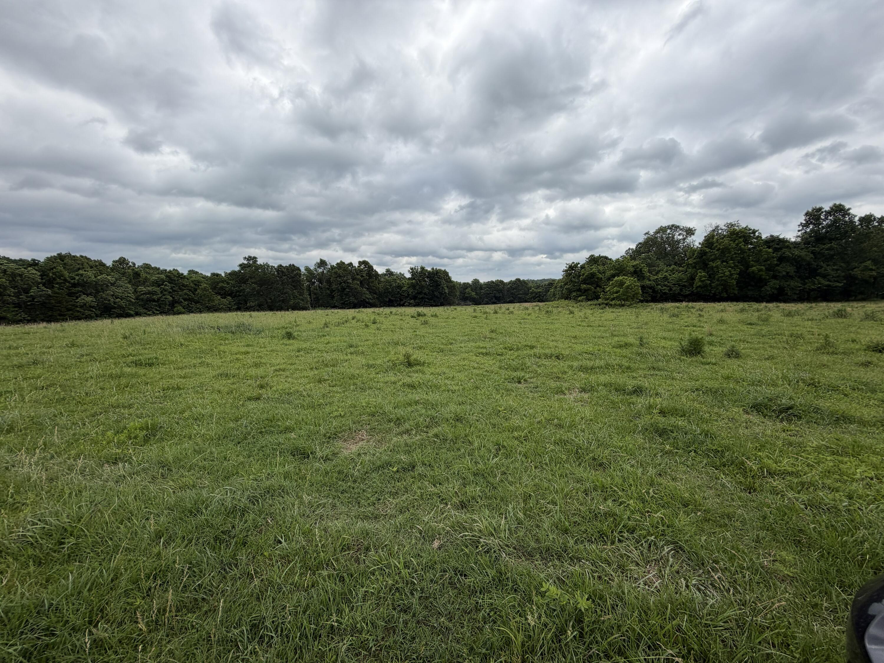 Photo 21 - Farm for sale – 000  N Highway   Squires, MO