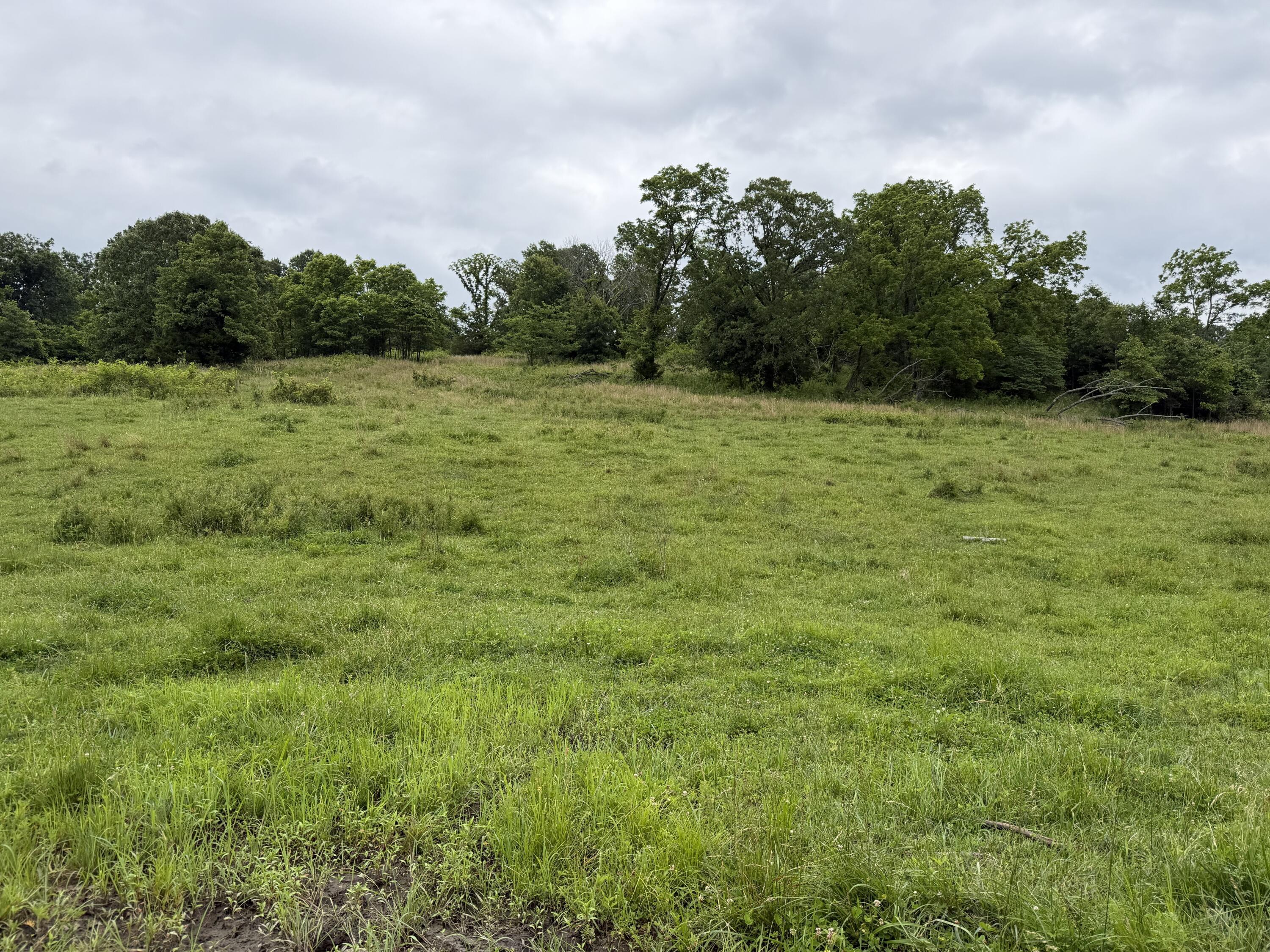 Photo 38 - Farm for sale – 000  N Highway   Squires, MO