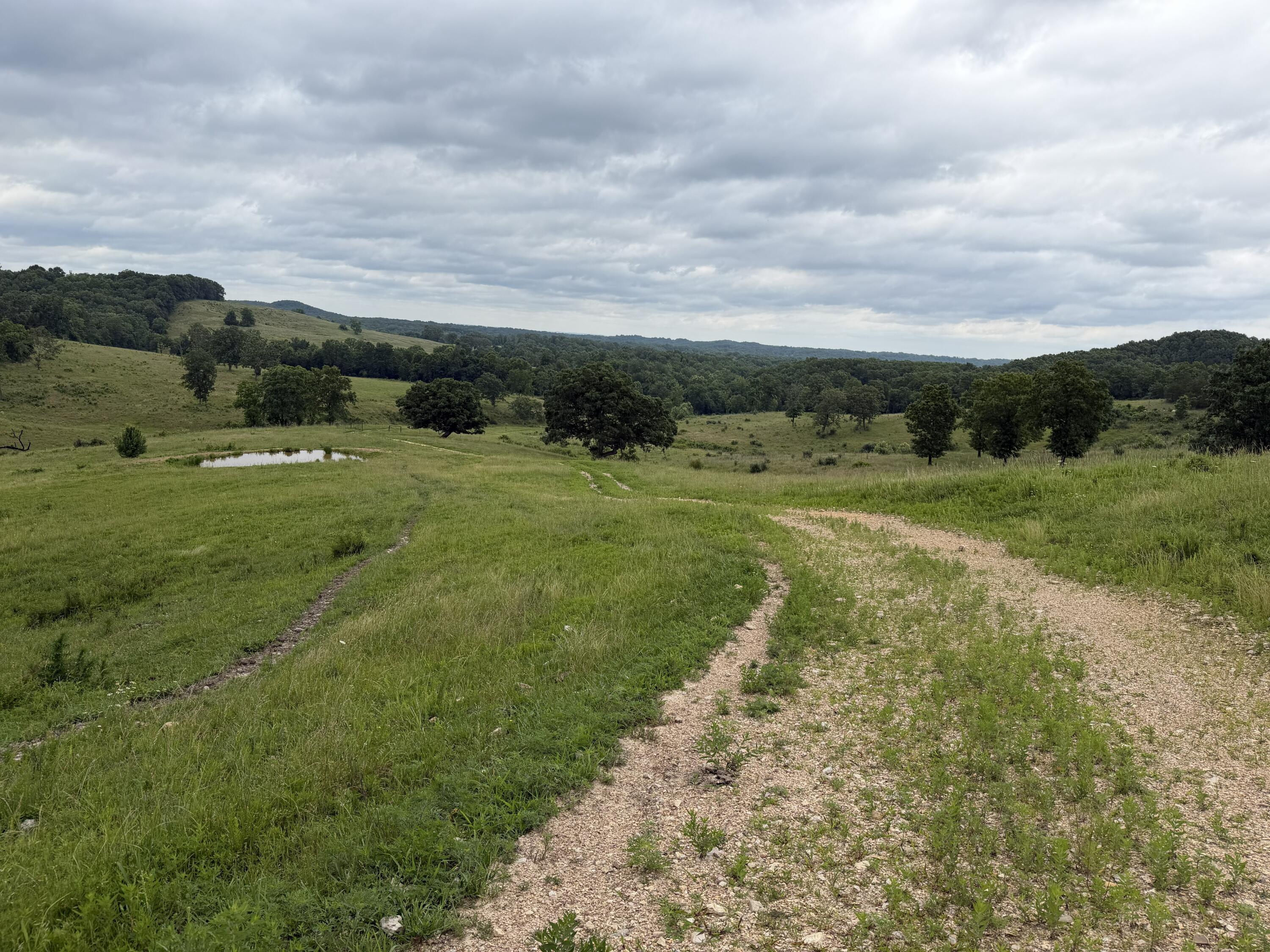 Photo 9 - Farm for sale – 000  N Highway   Squires, MO