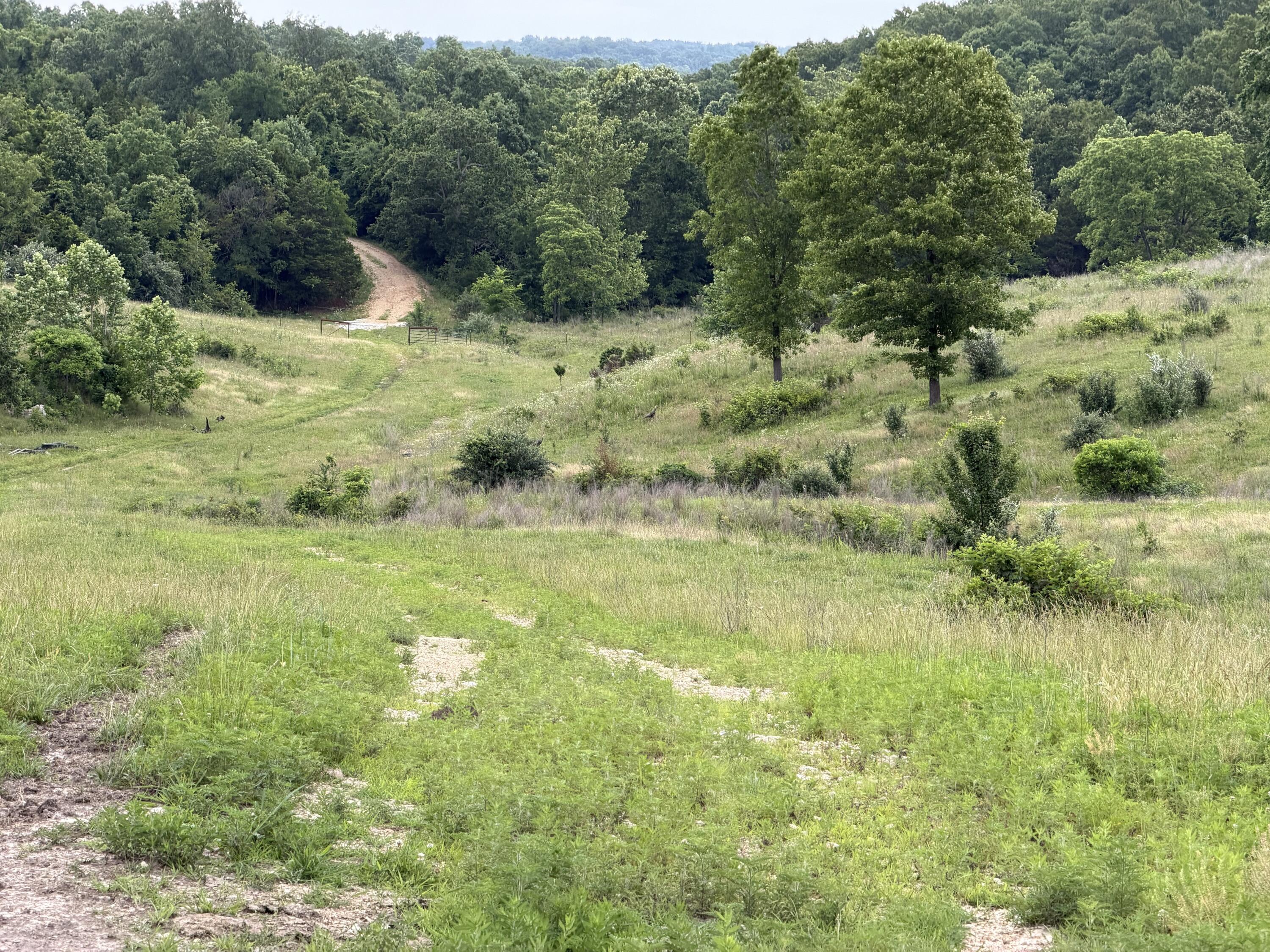 Photo 11 - Farm for sale – 000  N Highway   Squires, MO