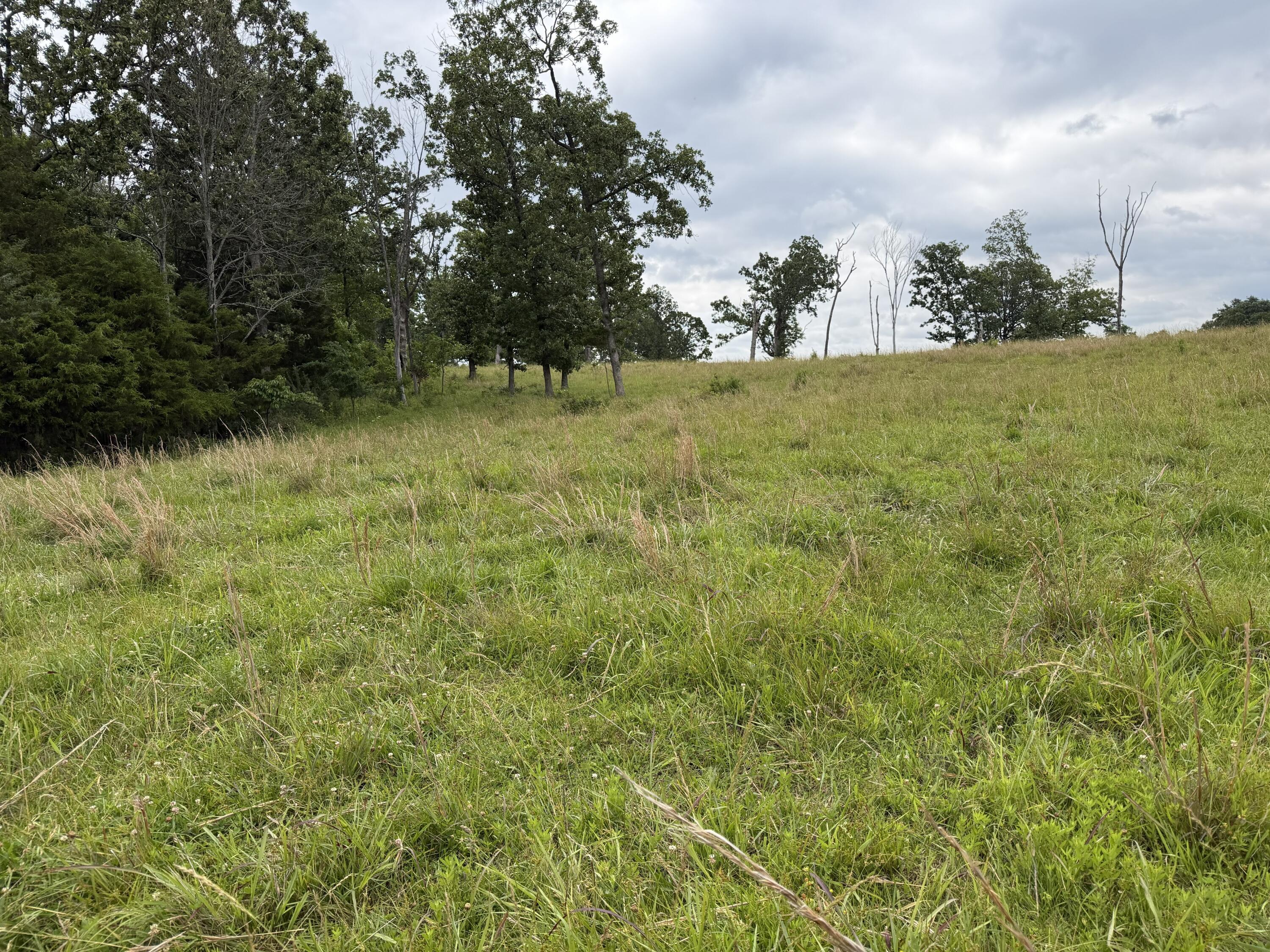Photo 31 - Farm for sale – 000  N Highway   Squires, MO