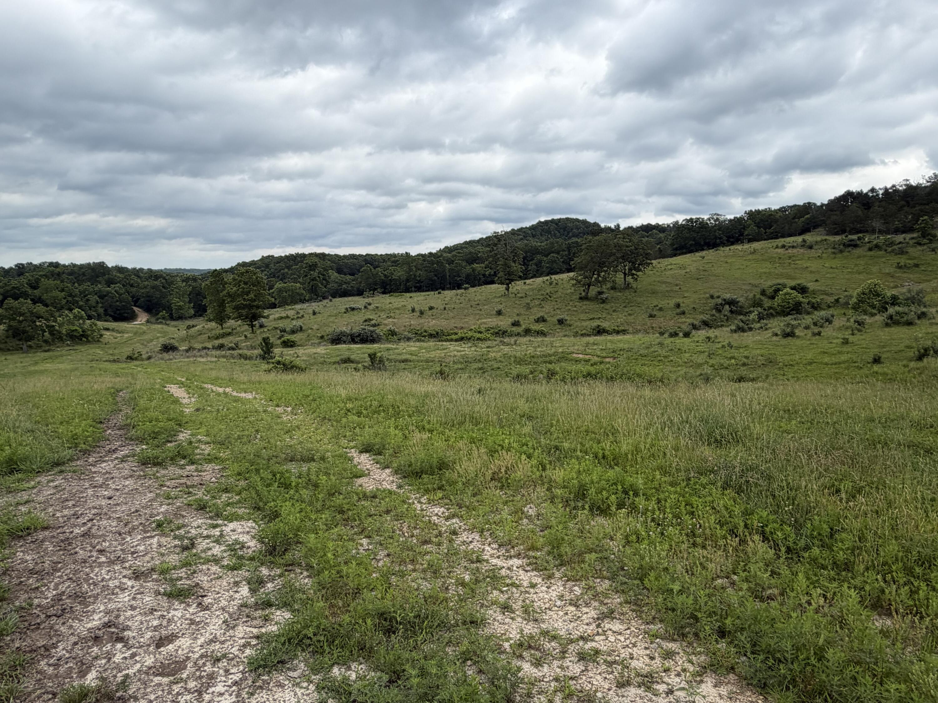 Photo 13 - Farm for sale – 000  N Highway   Squires, MO