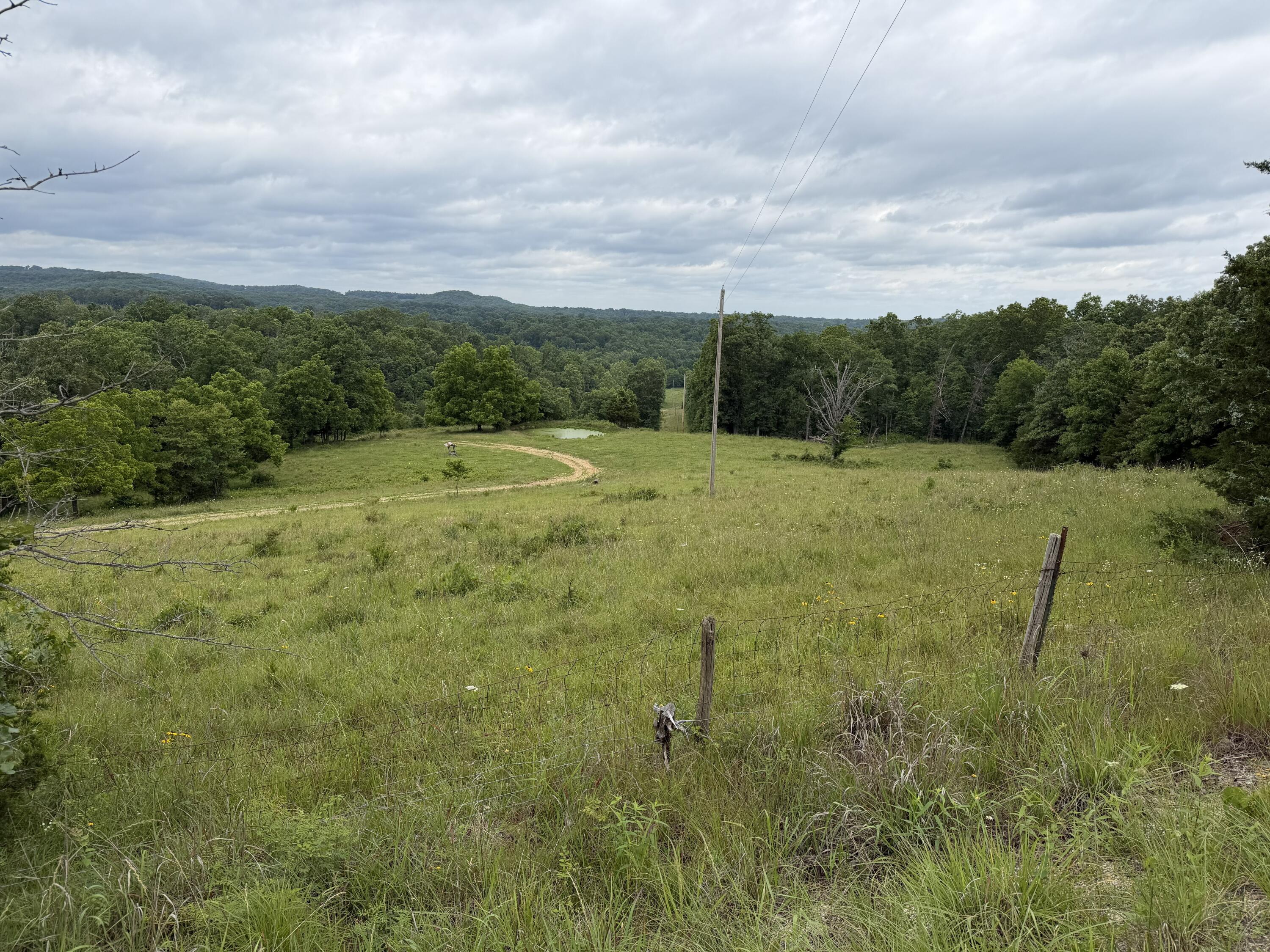 Photo 17 - Farm for sale – 000  N Highway   Squires, MO