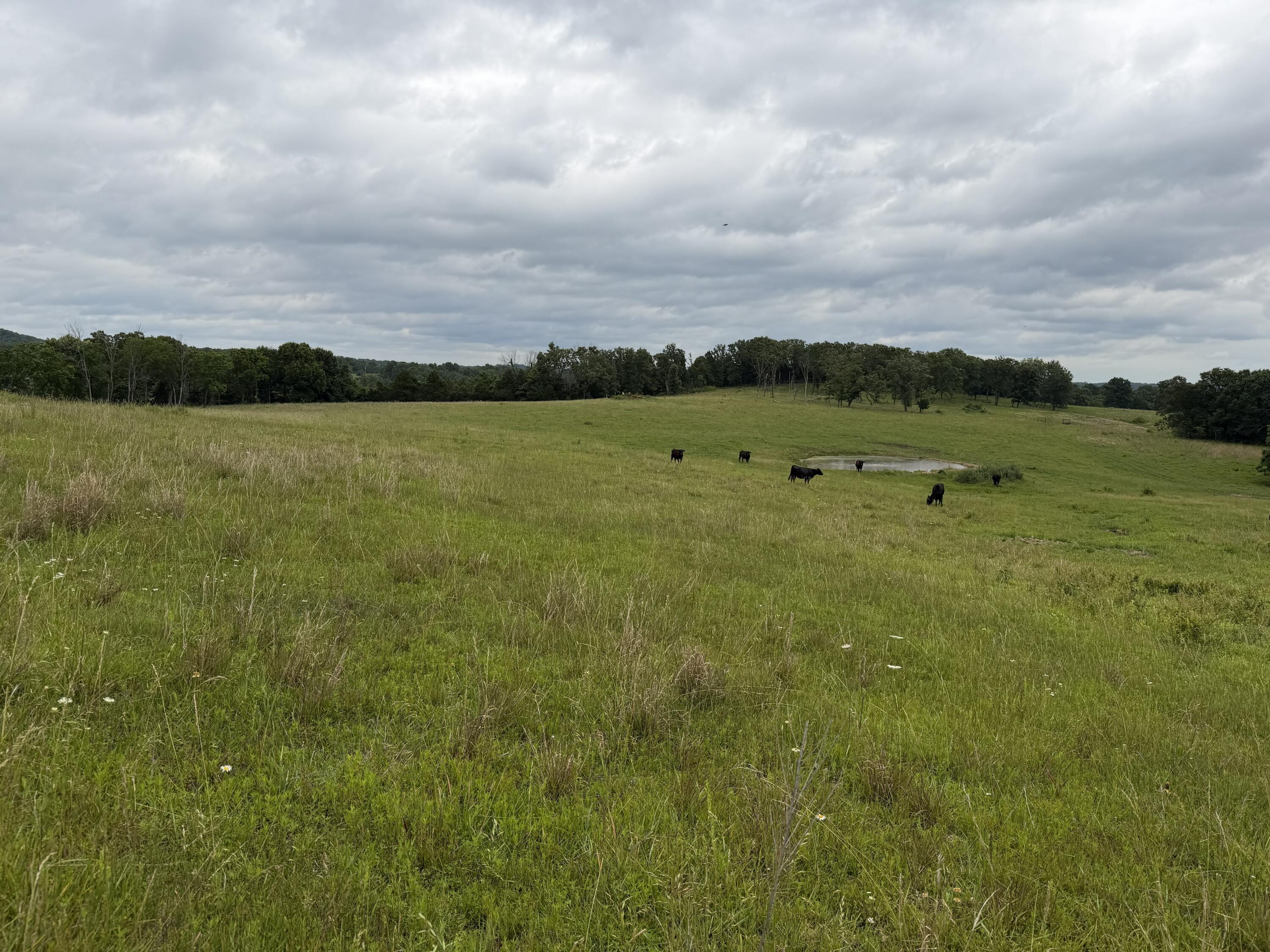 Photo 25 - Farm for sale – 000  N Highway   Squires, MO