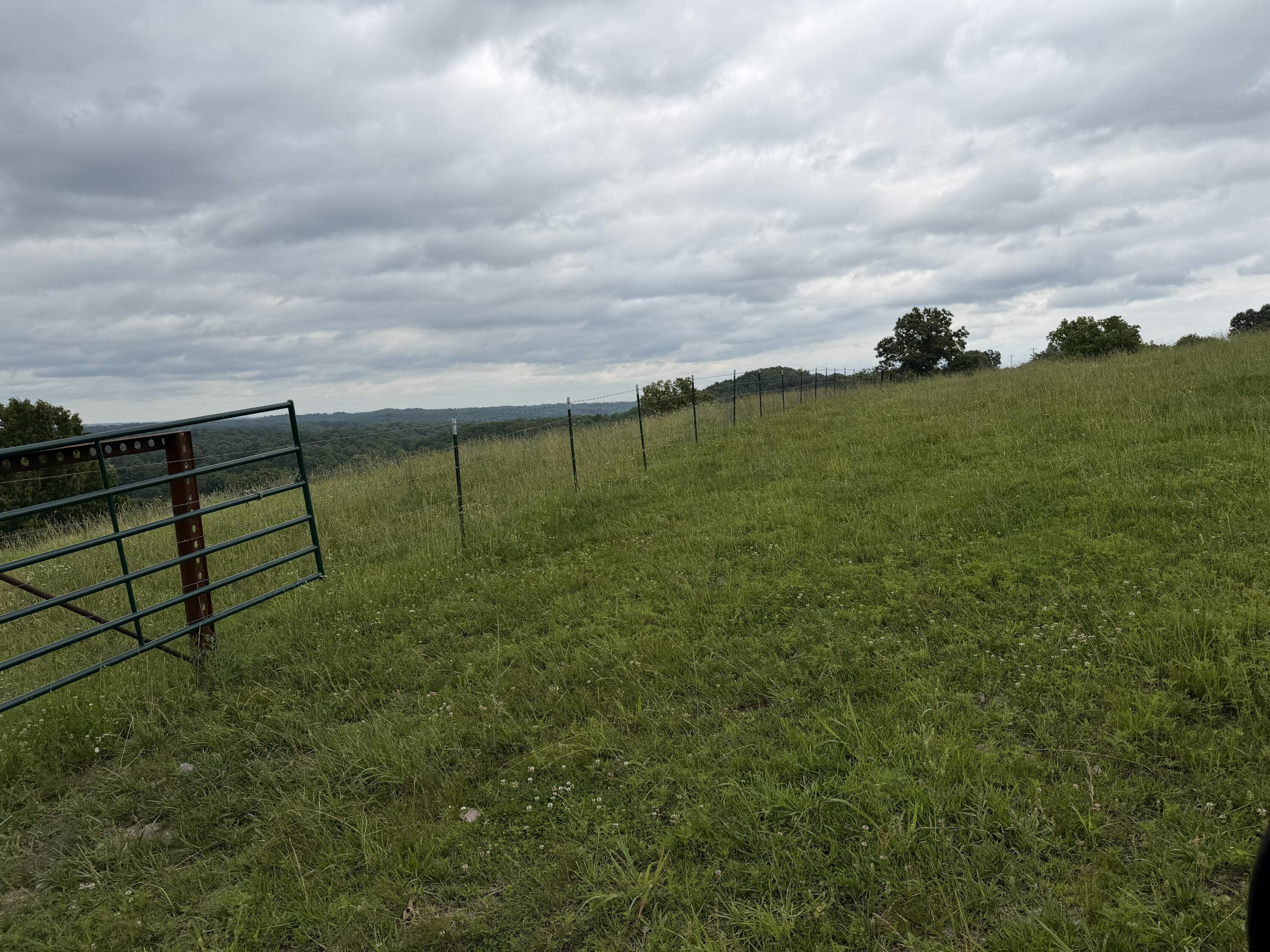 Photo 6 - Farm for sale – 000  N Highway   Squires, MO