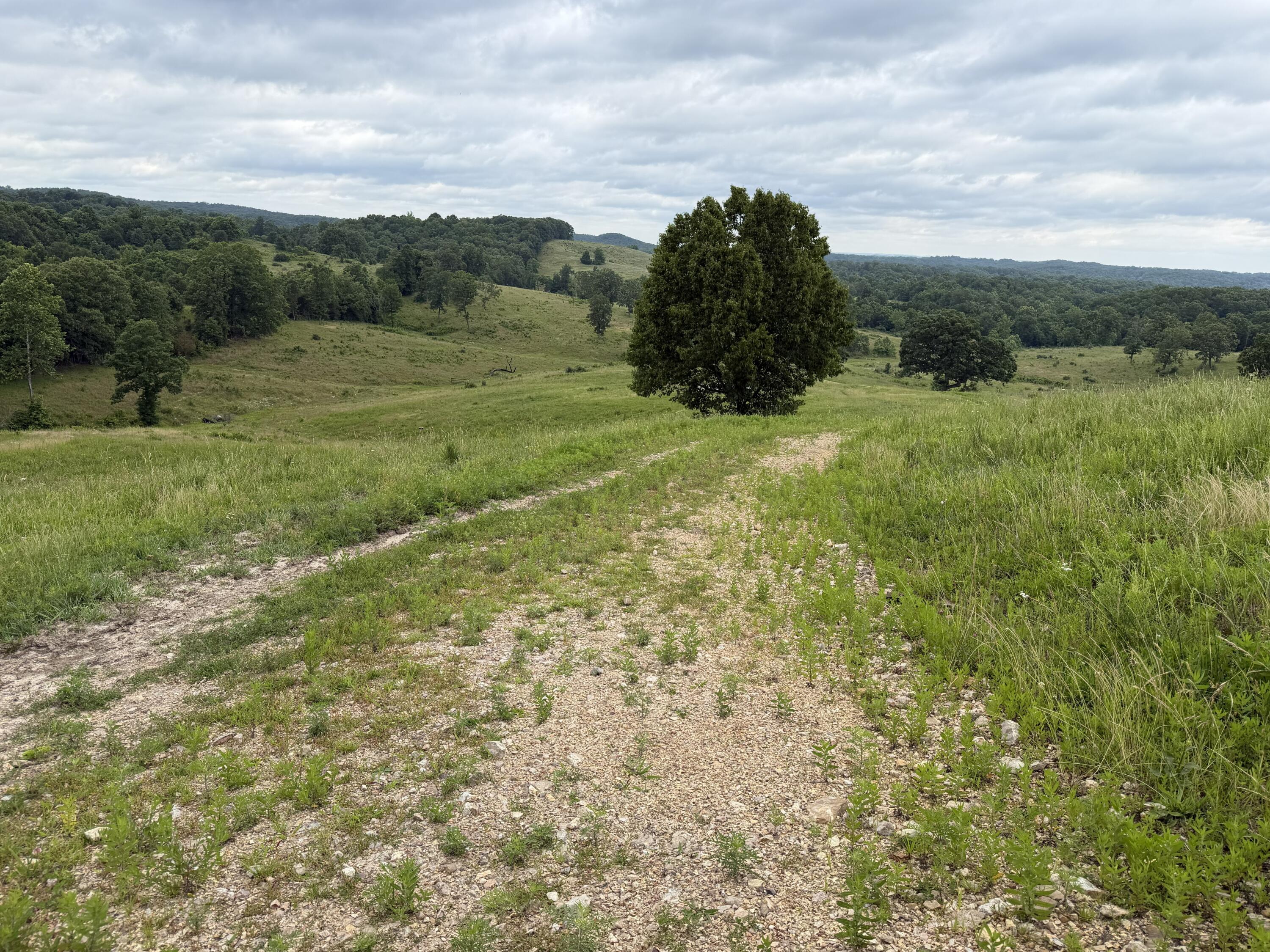 Photo 7 - Farm for sale – 000  N Highway   Squires, MO