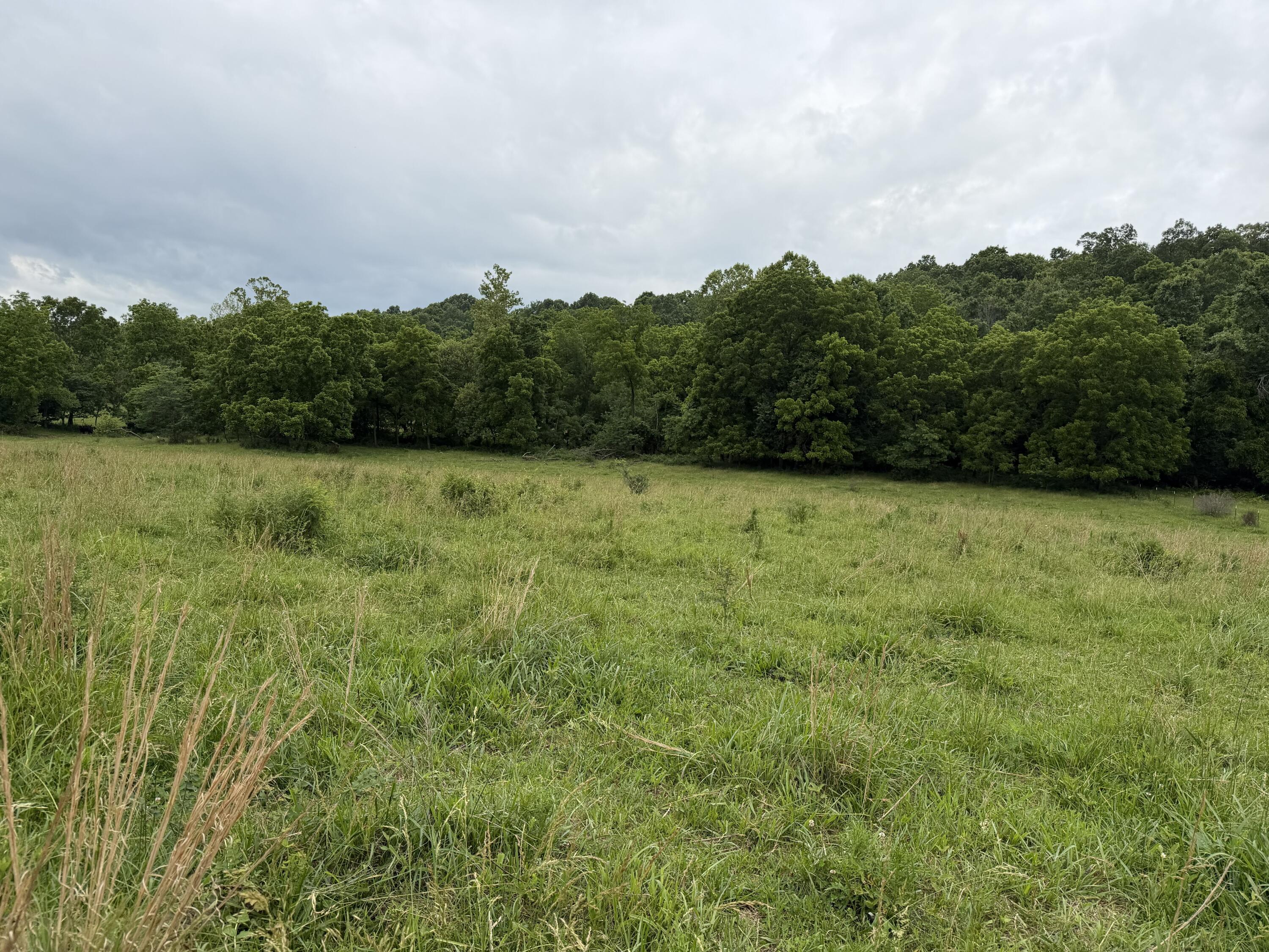 Photo 37 - Farm for sale – 000  N Highway   Squires, MO