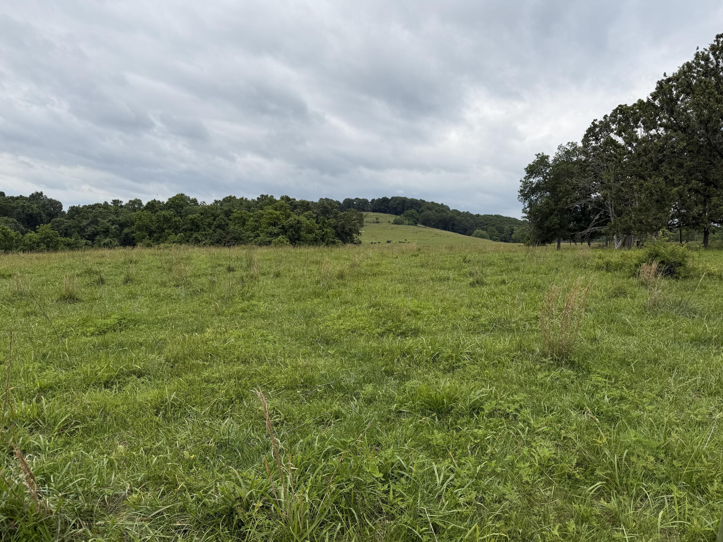 Photo 33 - Farm for sale – 000  N Highway   Squires, MO