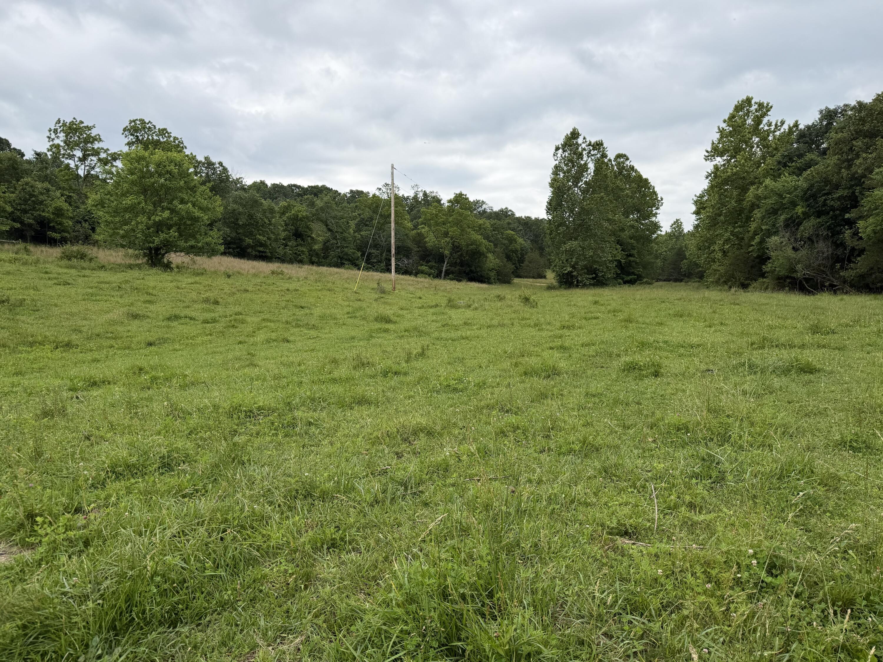 Photo 41 - Farm for sale – 000  N Highway   Squires, MO